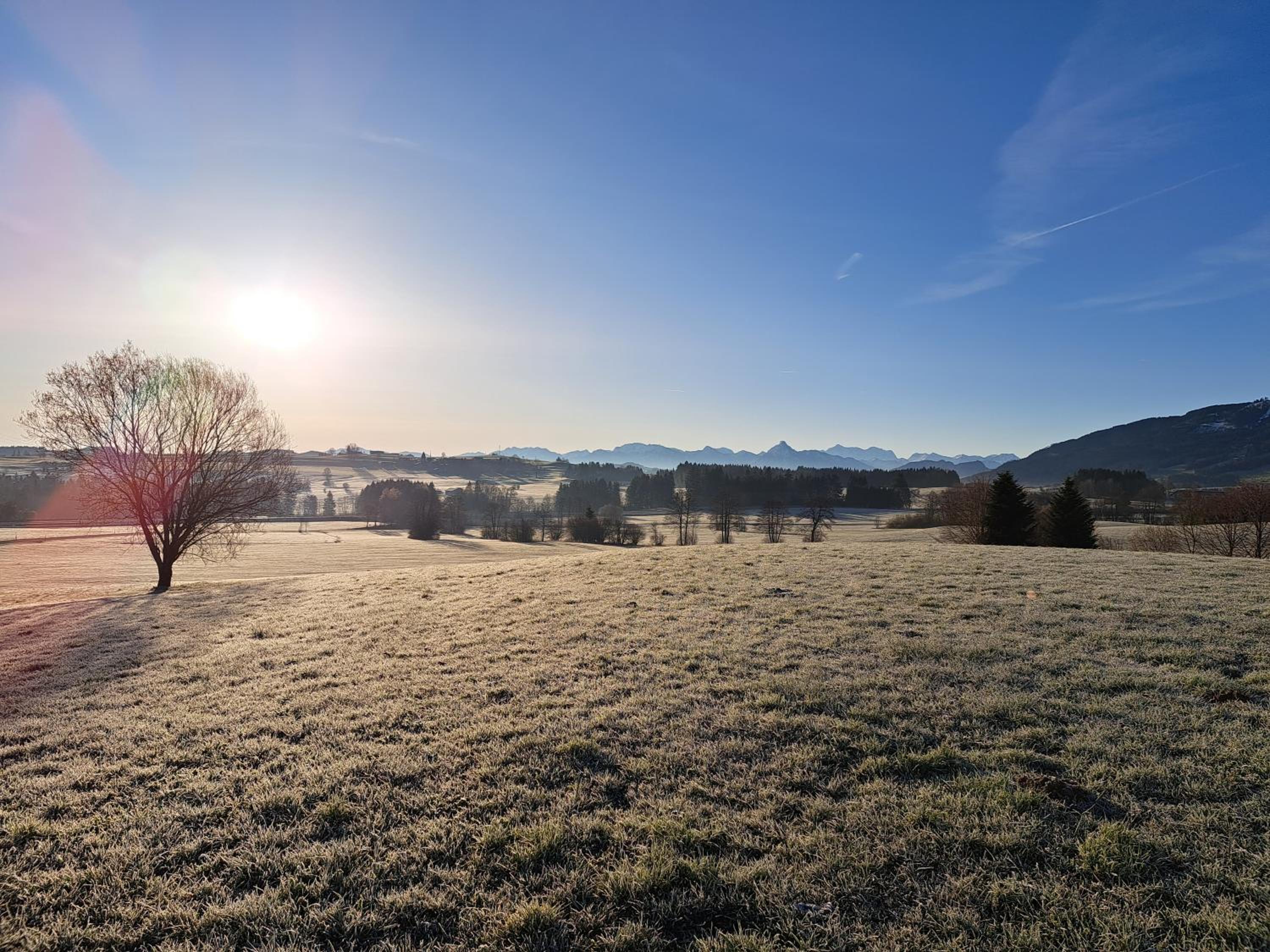 Ferienwohnung Alpenglück hoch3