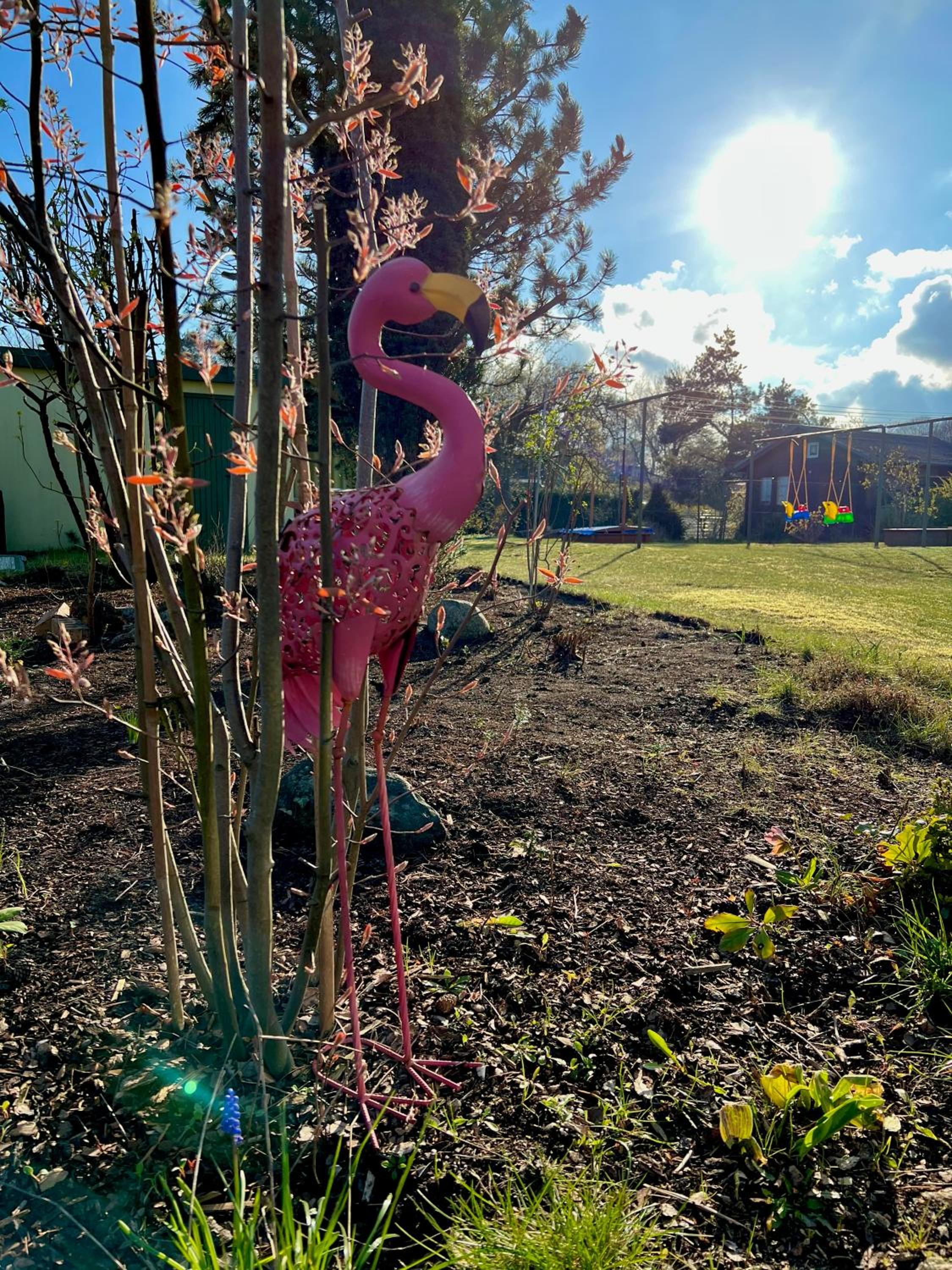 FeWo Sunshine