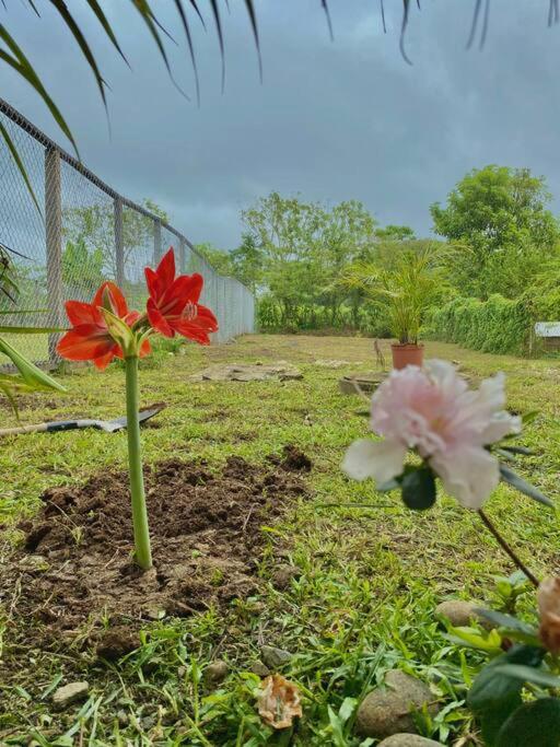 Casa Heliconia- La Fortuna