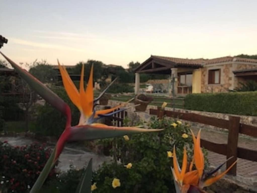 Bellissima villa Alessandra grande piscina privata giardino BQ posto auto