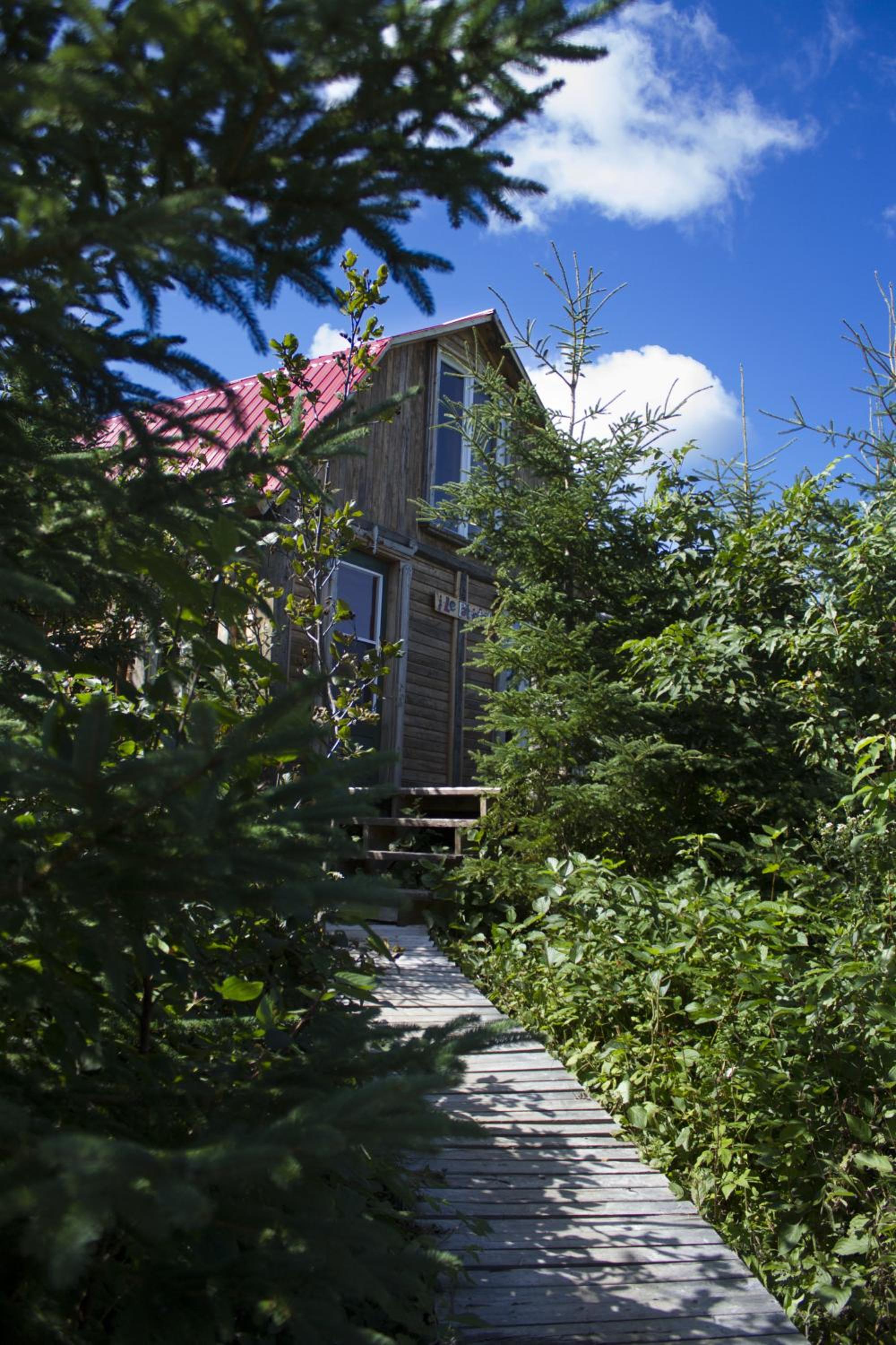 Auberge/Chalet Griffon Aventure
