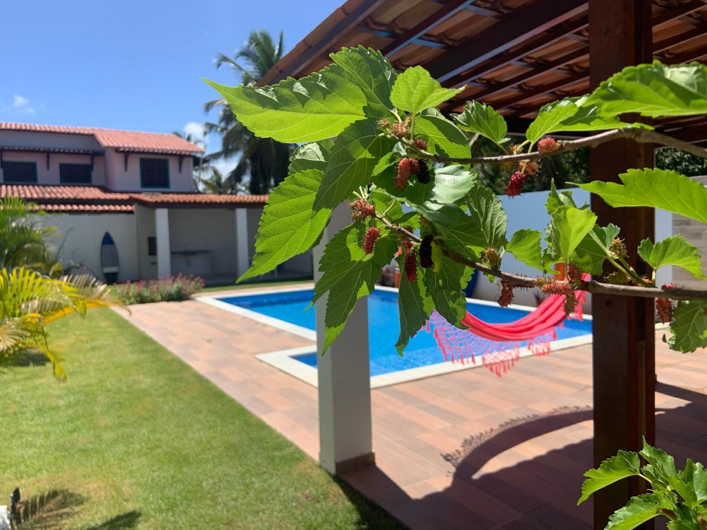 Privê Enseada de Tamandaré com Vista Mar