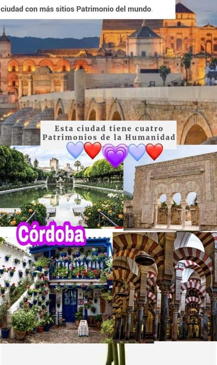 GRUPO LIMCOTEL EL PASEITO DE CONCHA-MEsQUITA-PARKING
