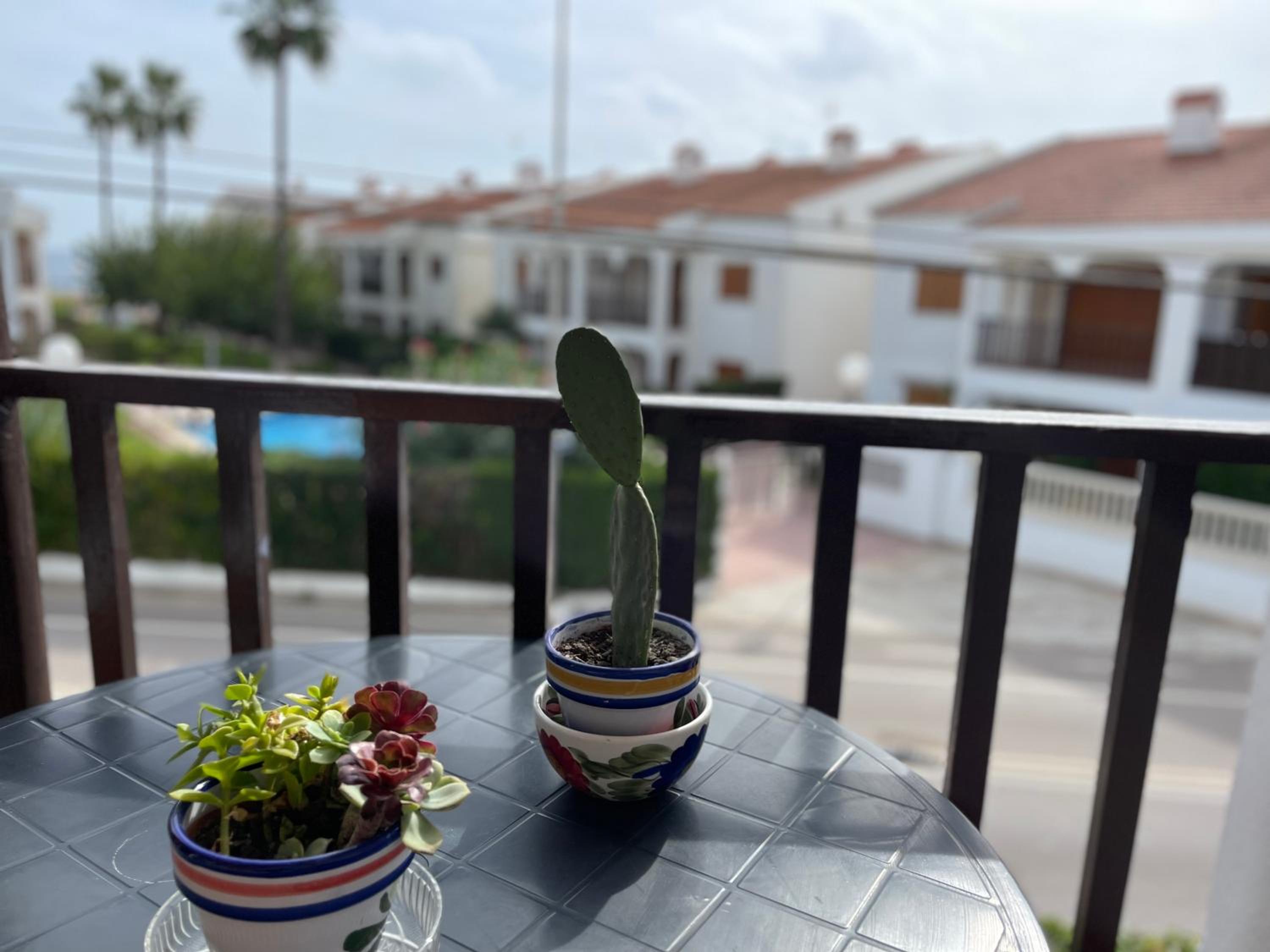 Las tres palmeras
