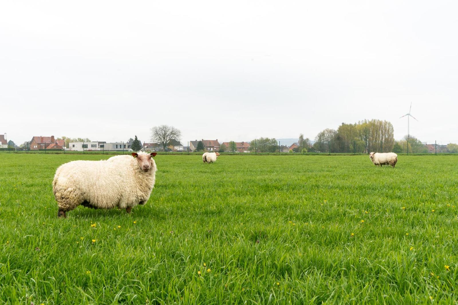 Vakantiewoning De Bles