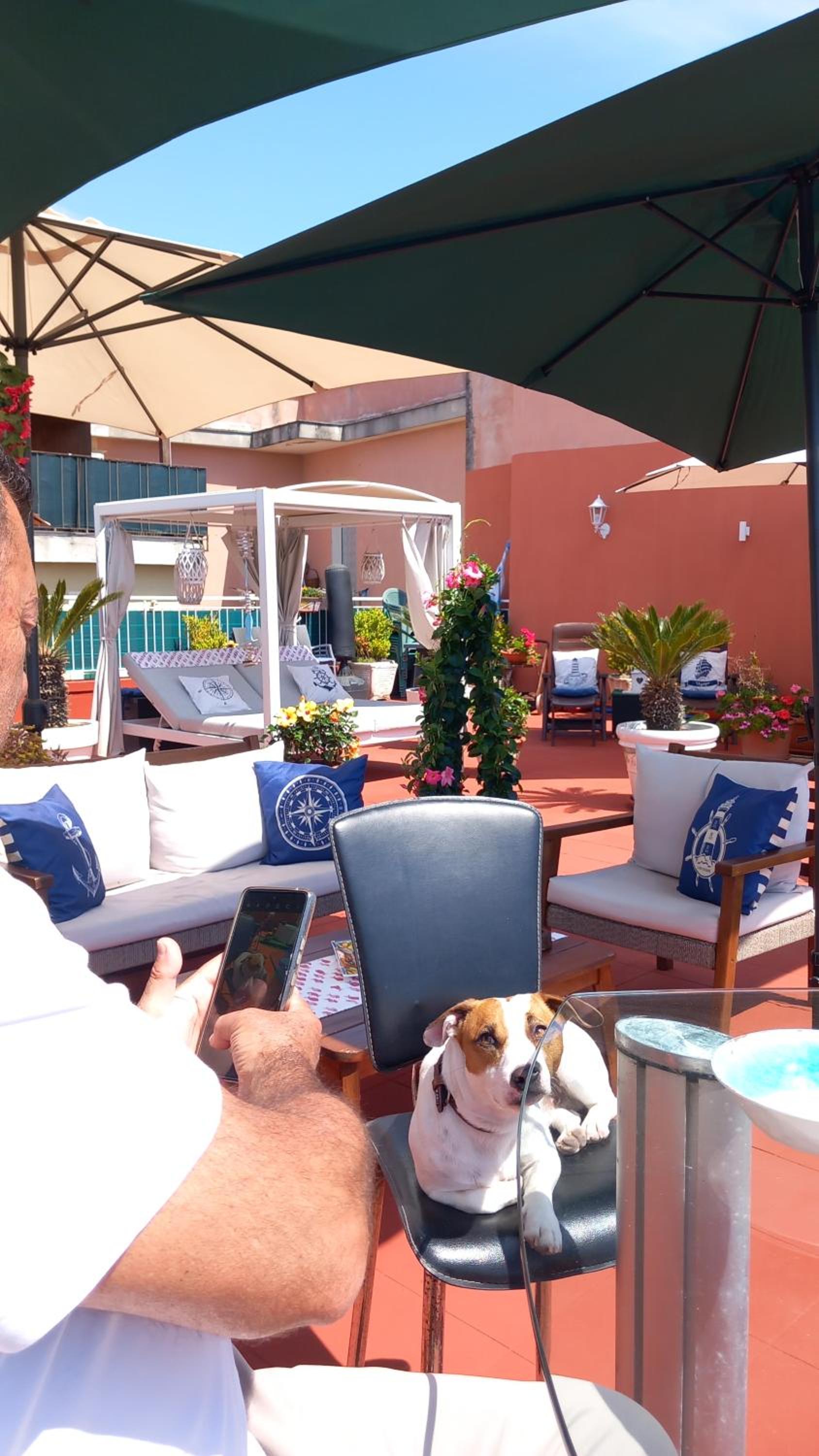 Terrazza Miracapri