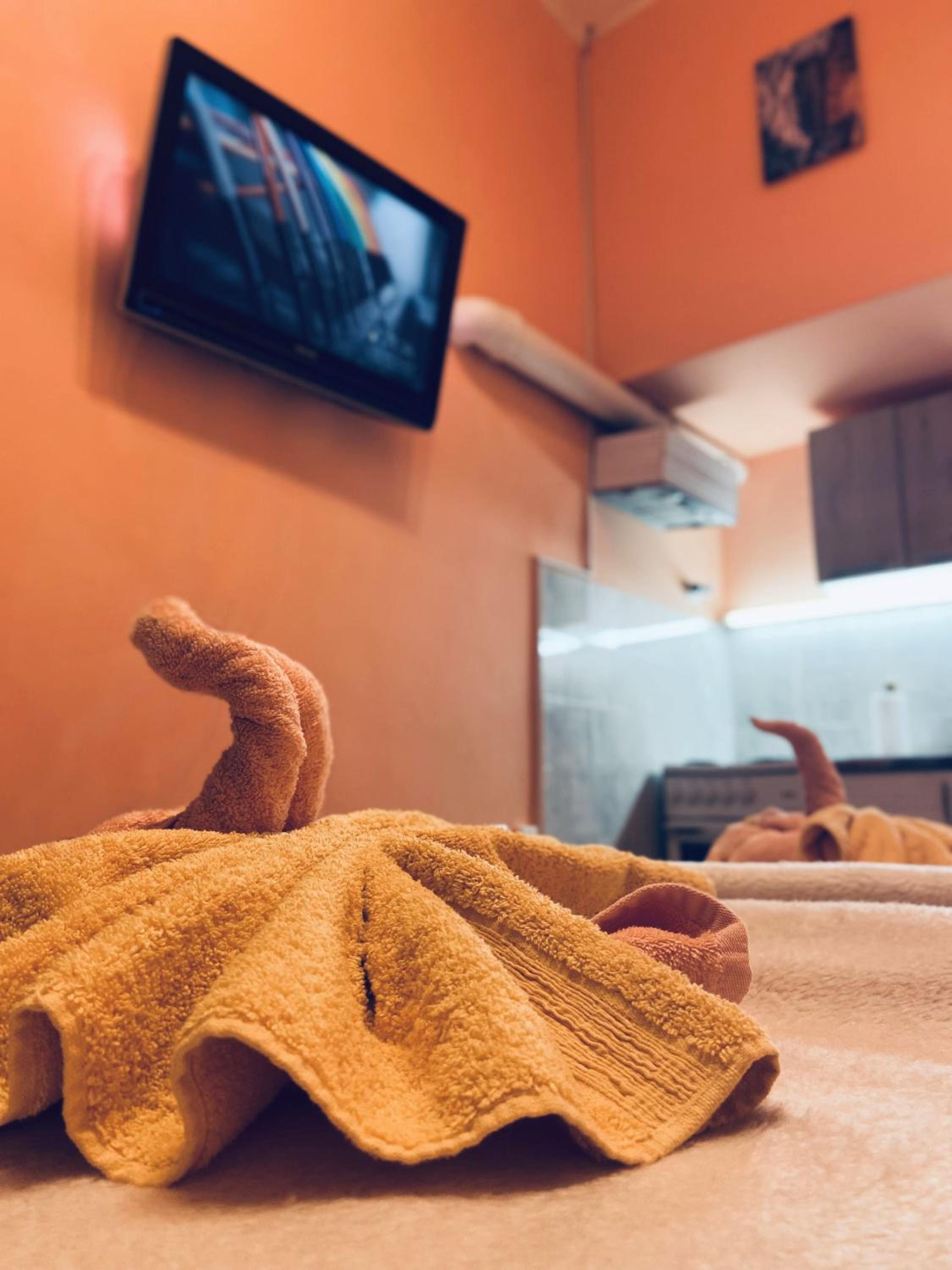 Studio Apartman Burek