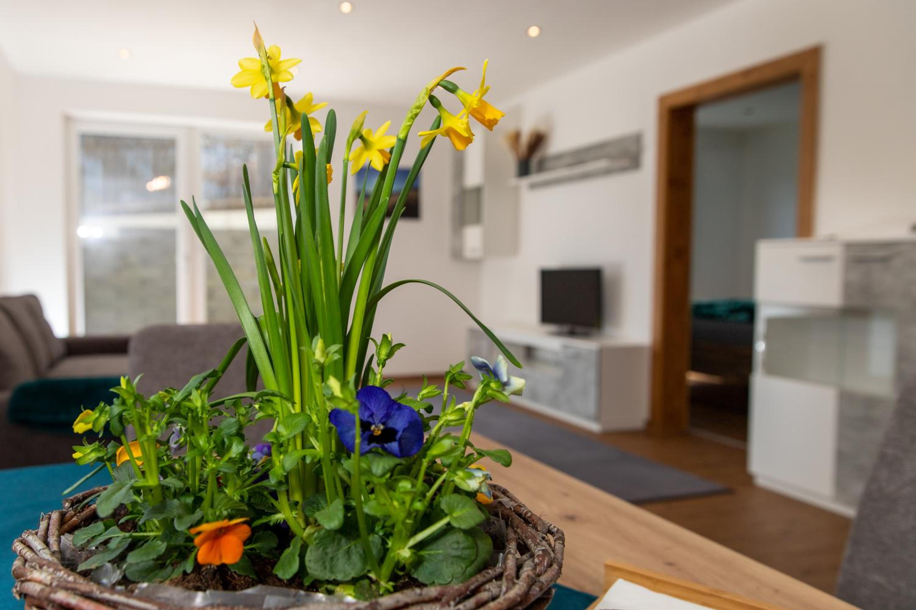 Ferienwohnung Pedit