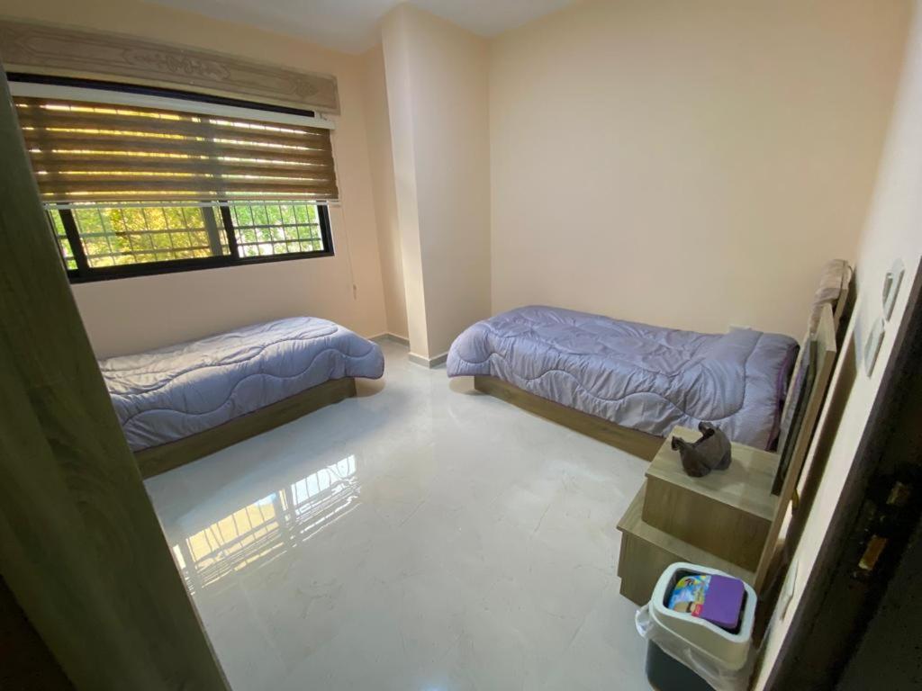 Moon Apartments