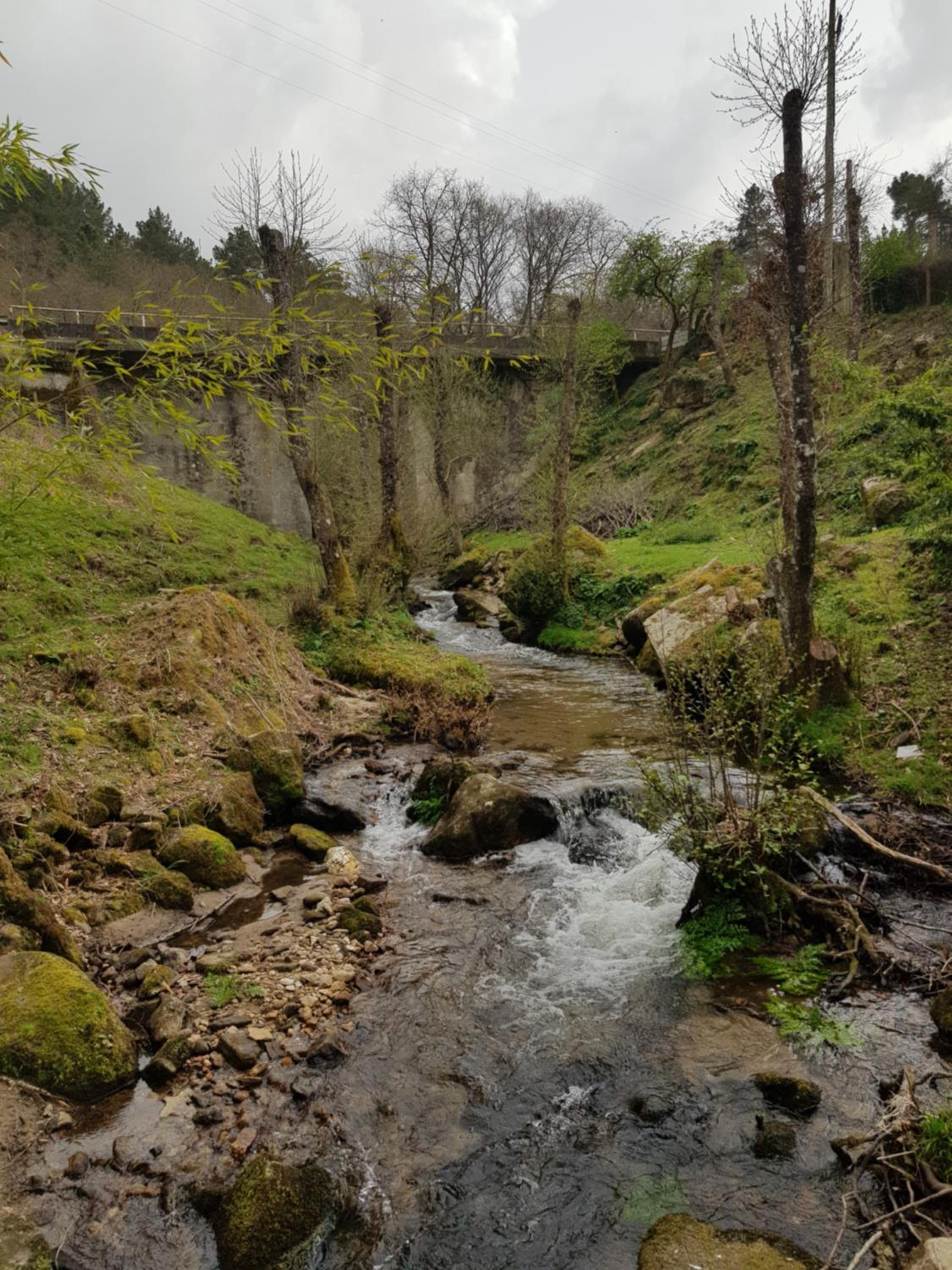 EL VIEJO MOLINO