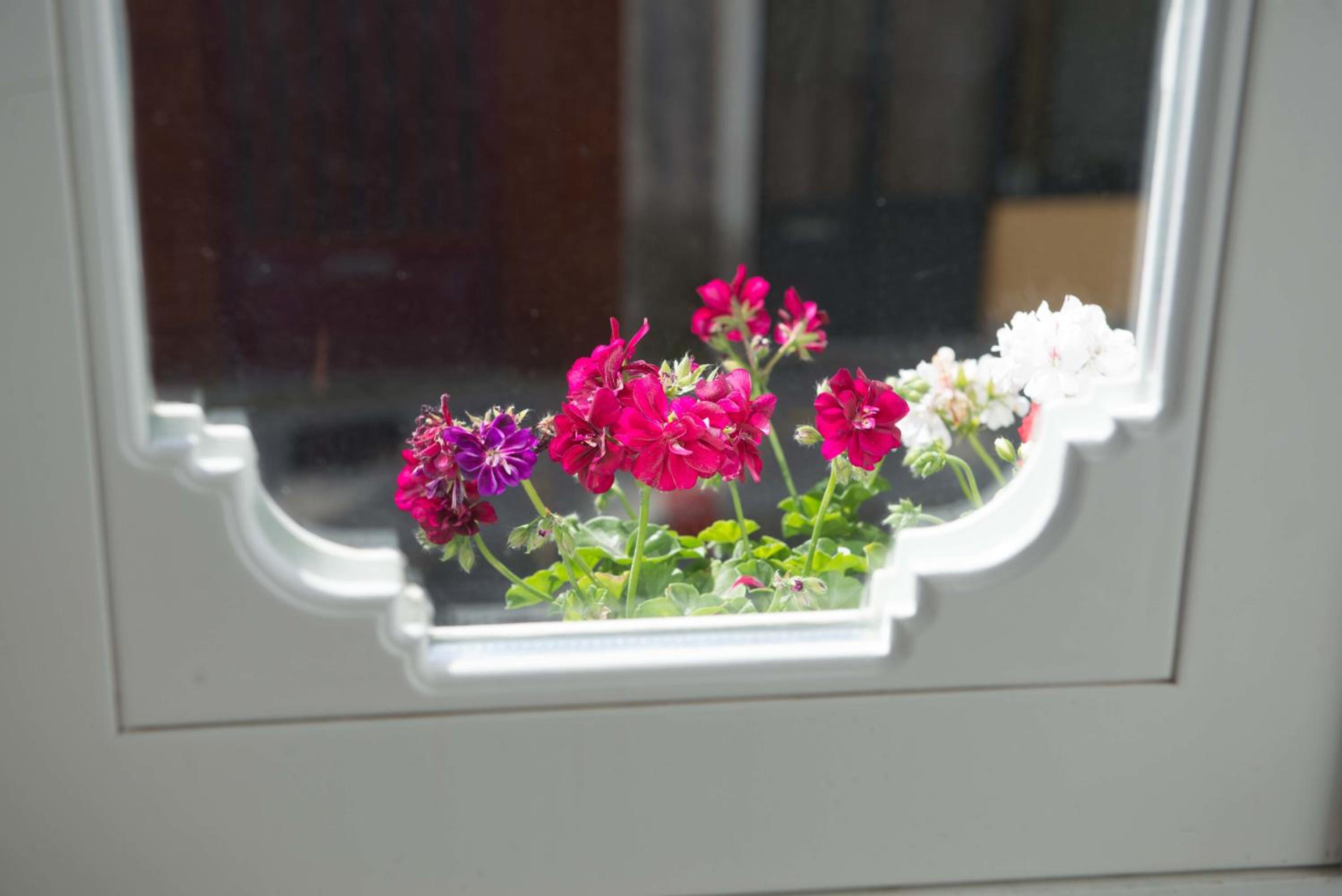 Porto Vintage Guesthouse