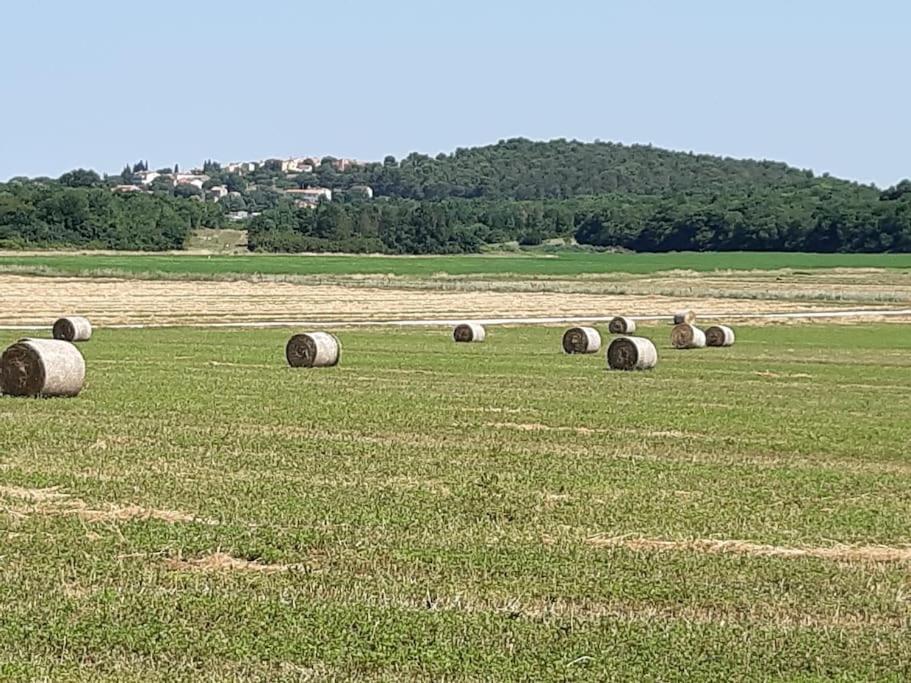 Villa goISTRIA