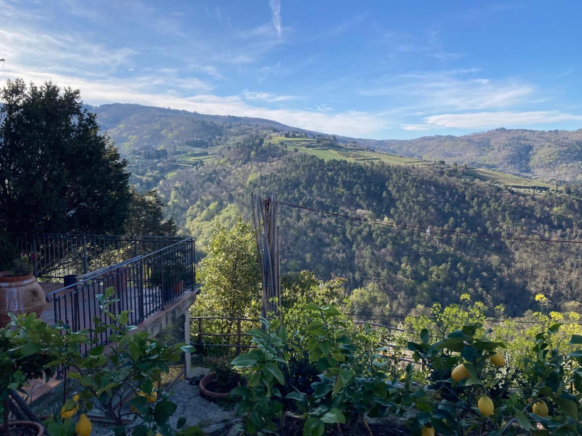 Agriturismo La casina di Castellinuzza e Piuca view 3