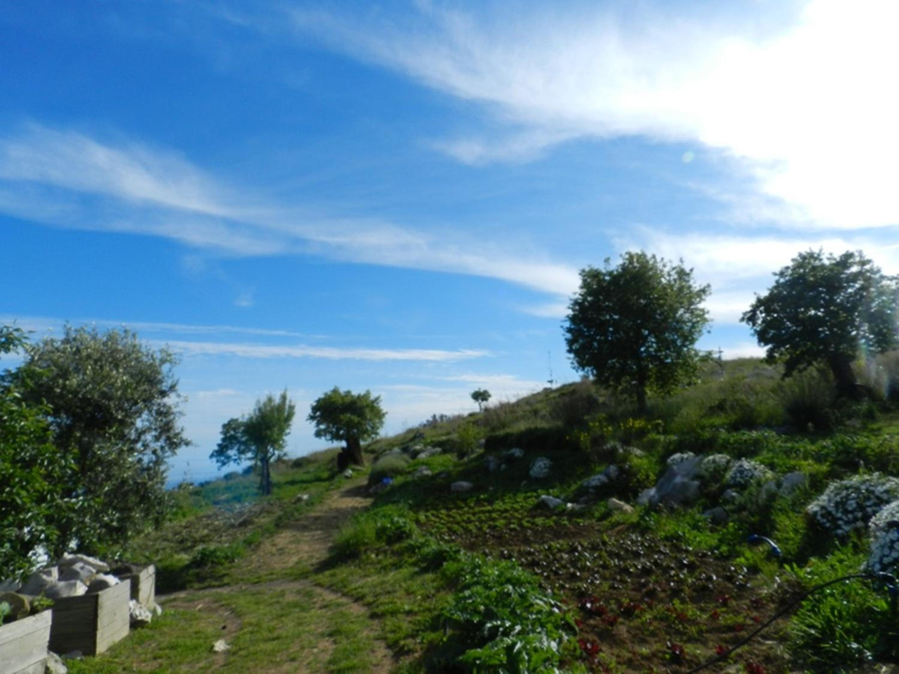 Agriturismo Fattoria Terranova
