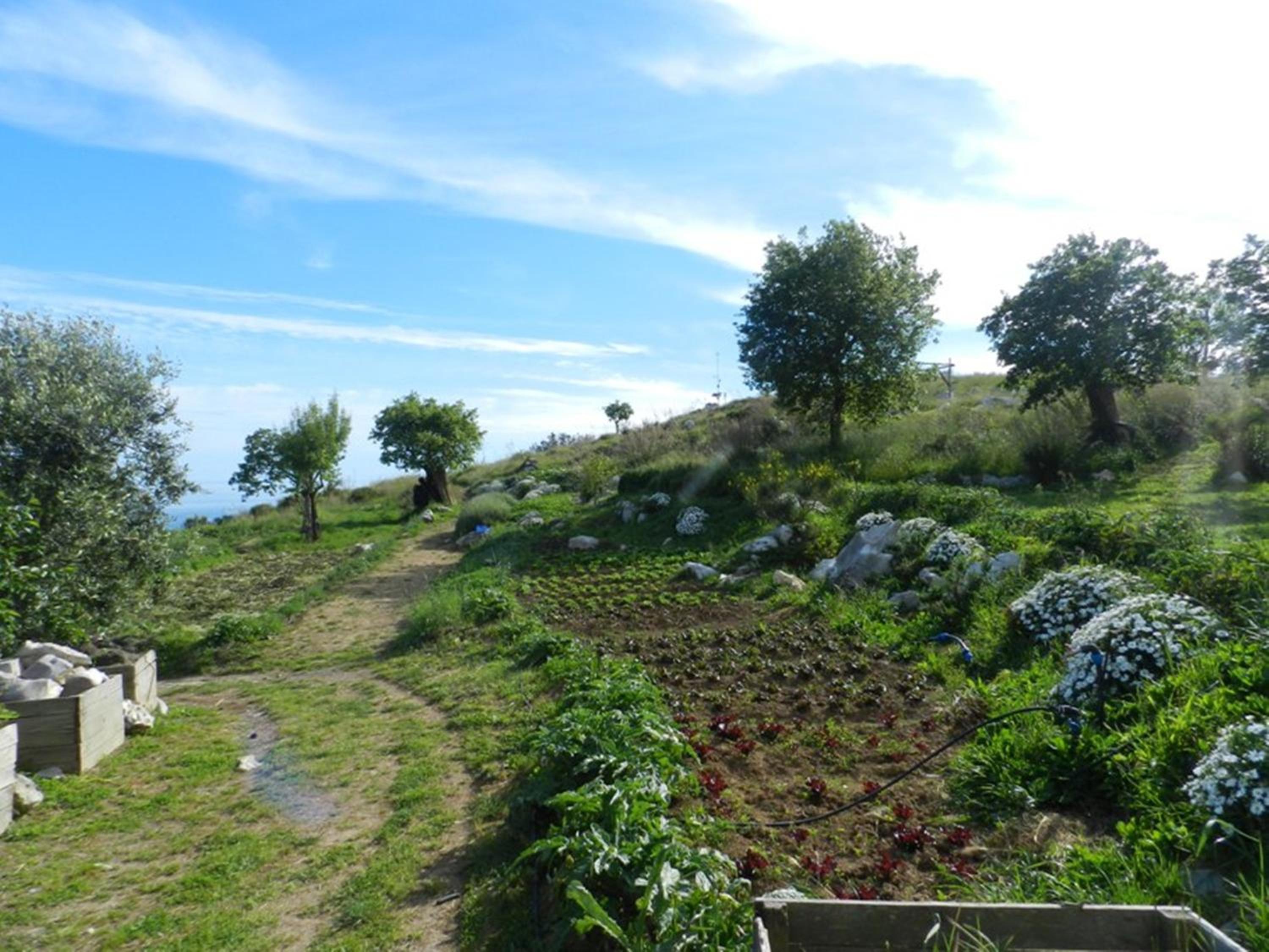 Agriturismo Fattoria Terranova