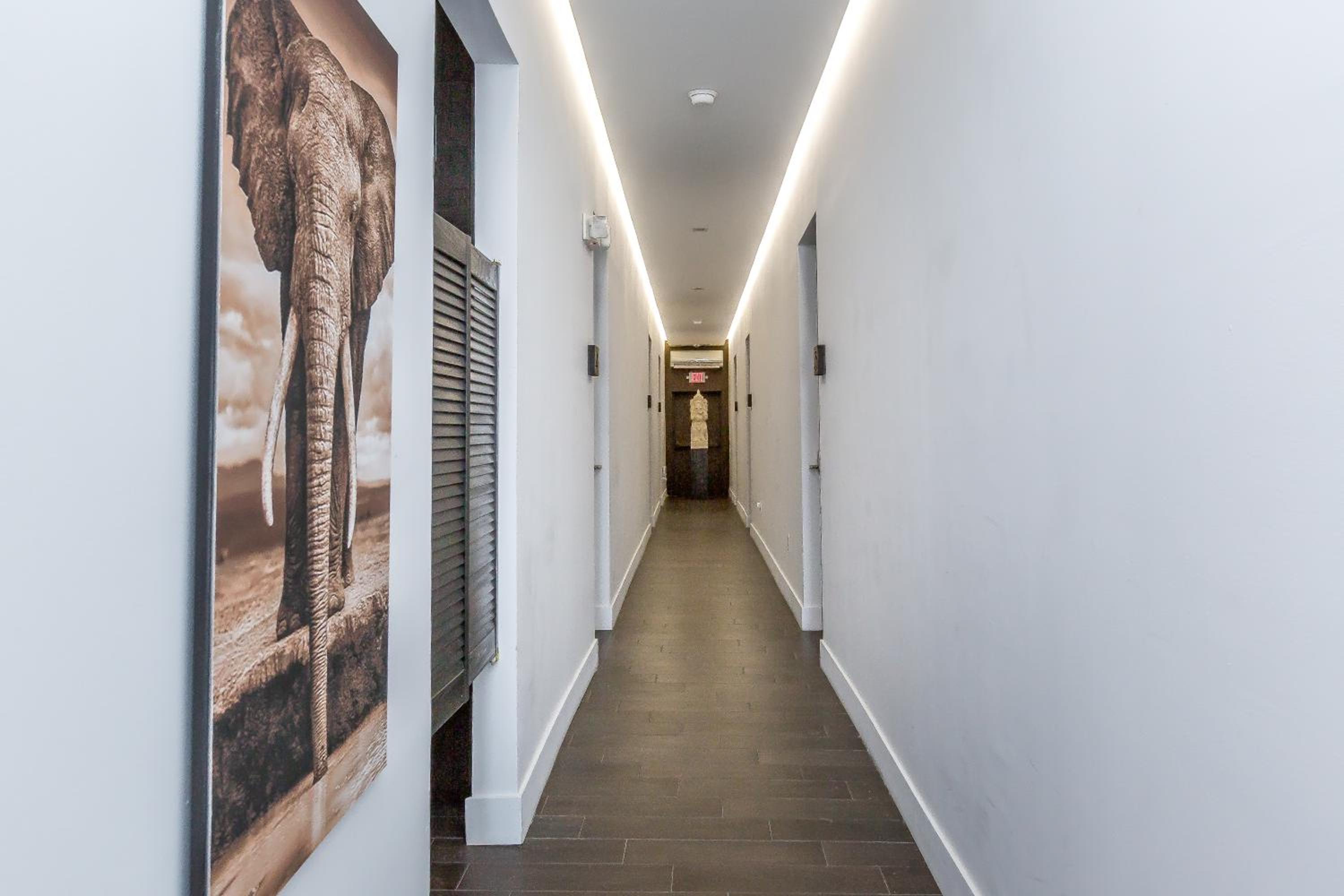 Vive Zen Master Suite for 4 Guests