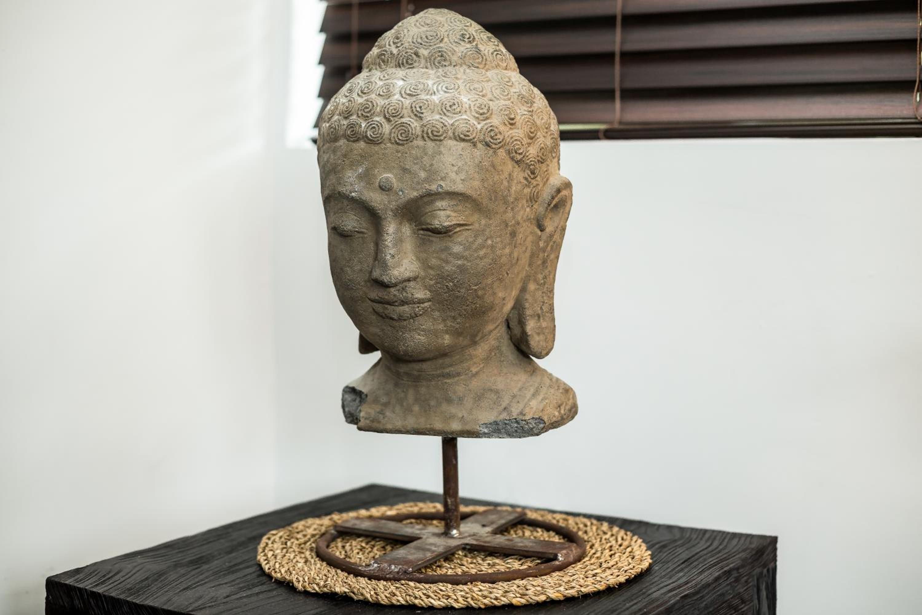 Vive Zen Master Suite for 4 Guests