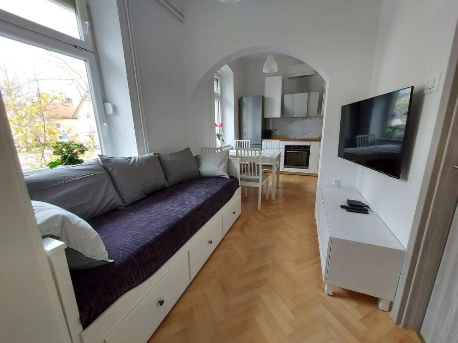 Apartment Bezigrad view 2