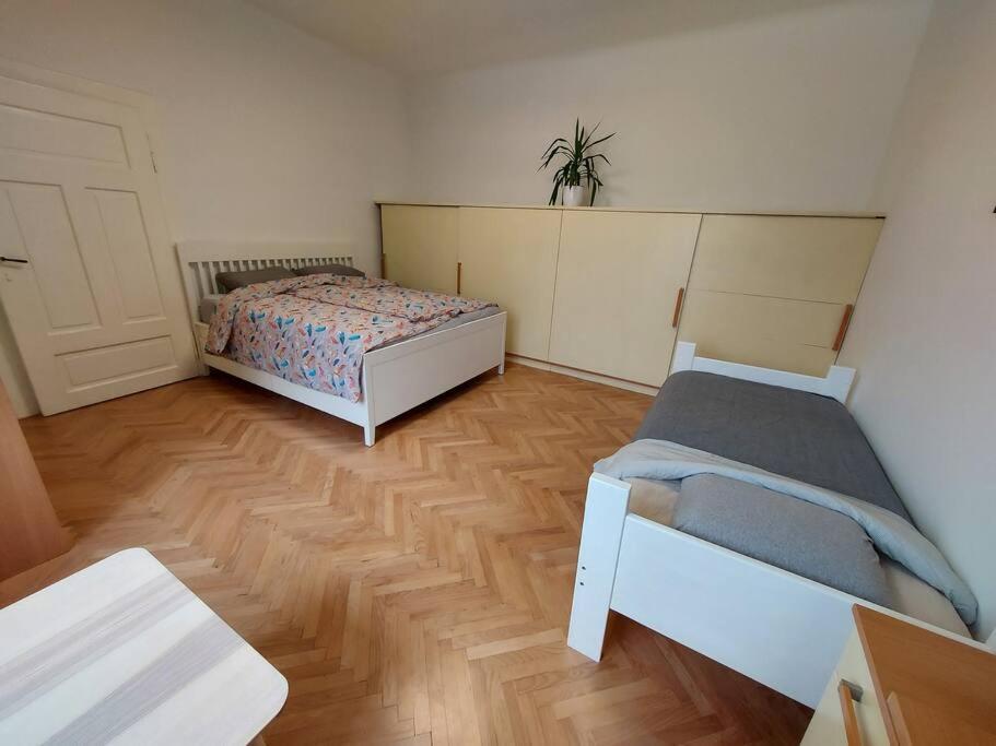 Apartment Bezigrad view 5