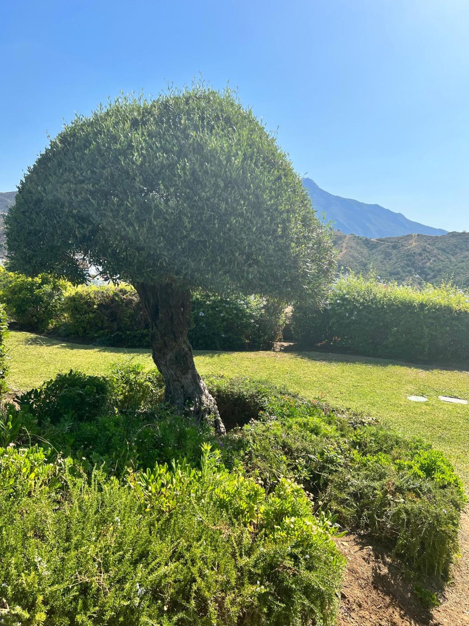 Altos De La Quinta II Apartment Marbella