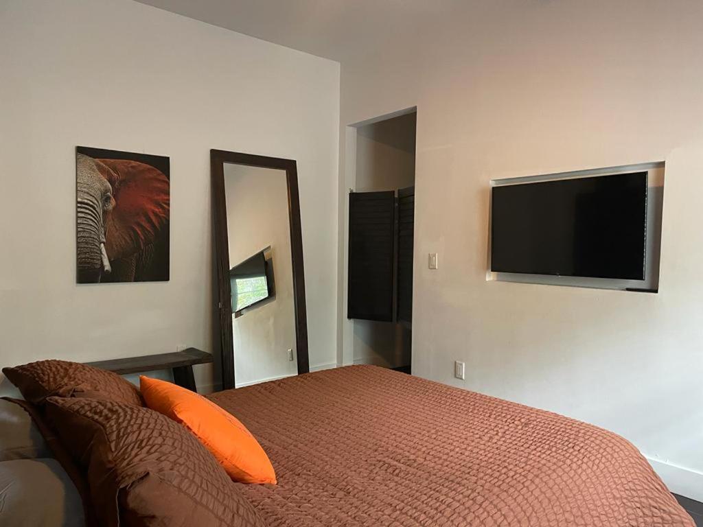 Vive Zen 2 Queen Beds