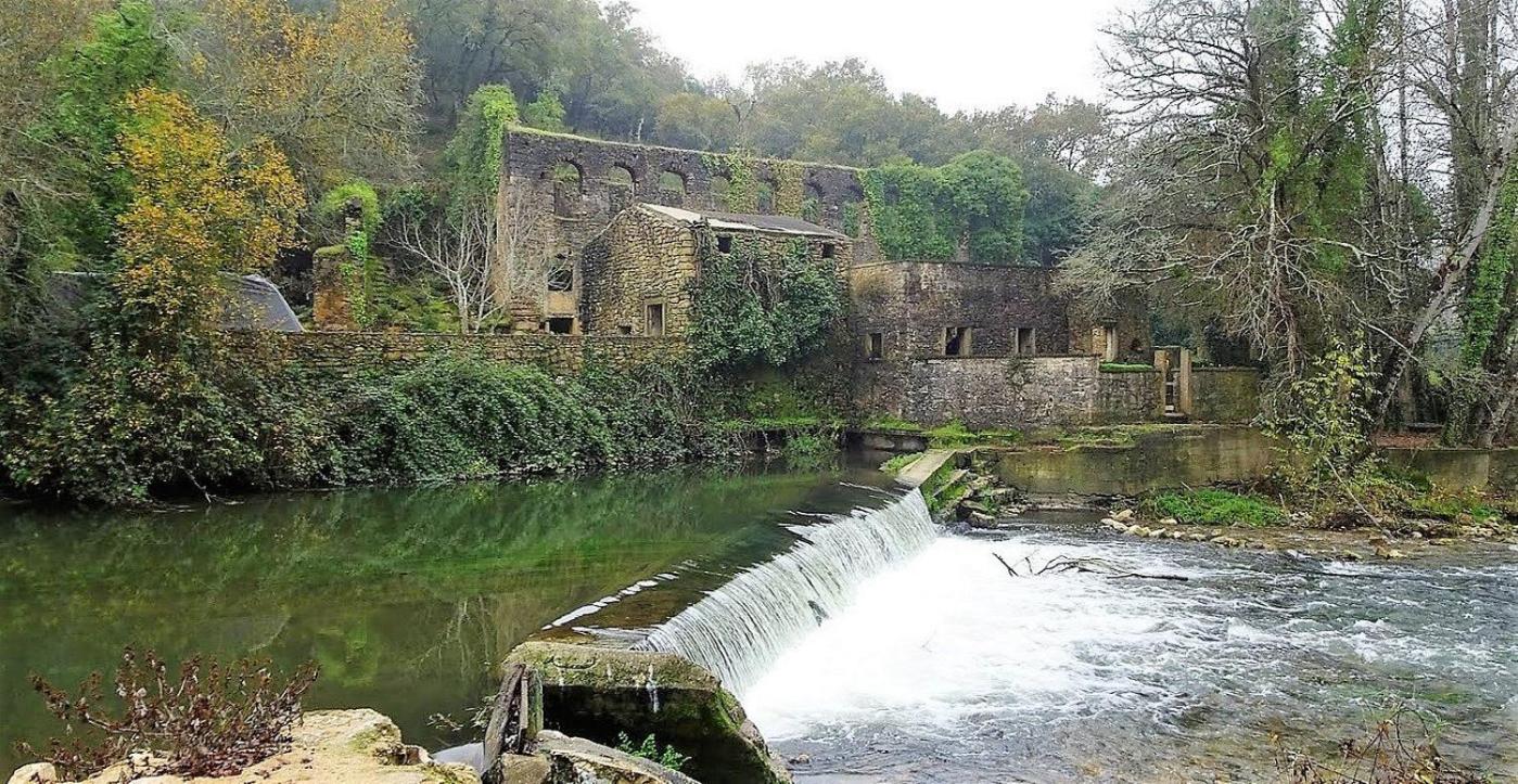 Photo 48