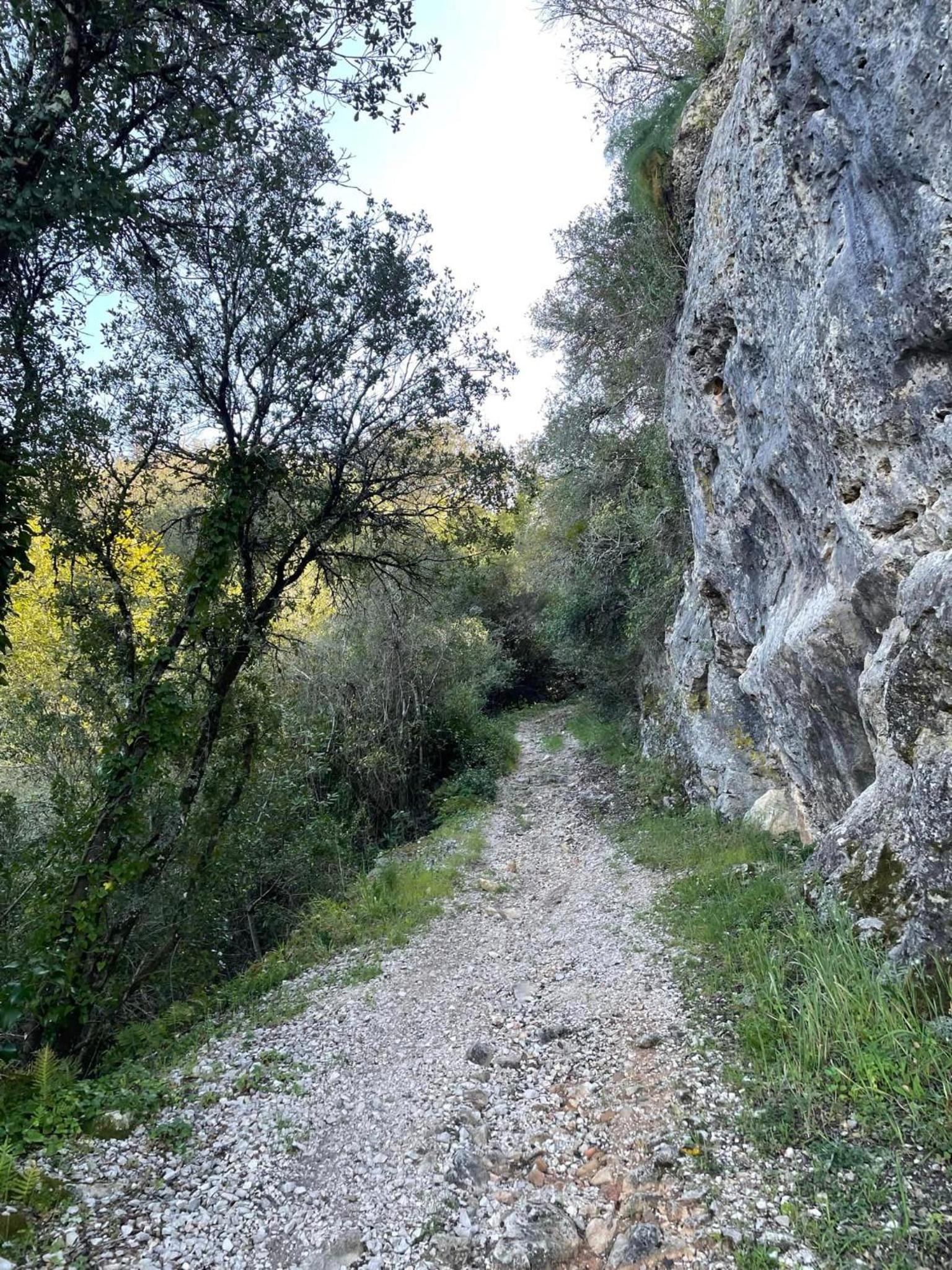 Photo 46