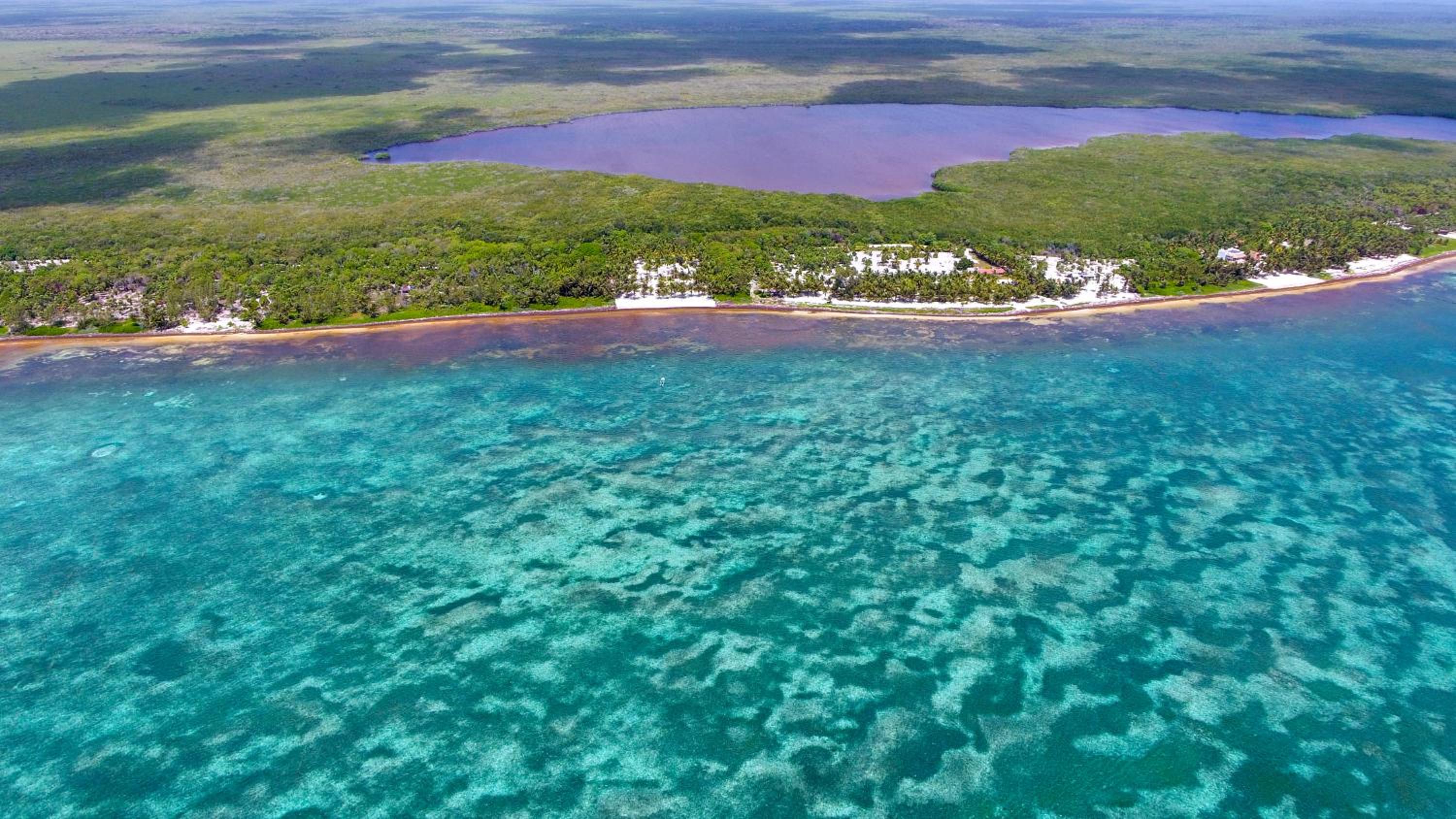 Yum Botic Villa Beach House view 4