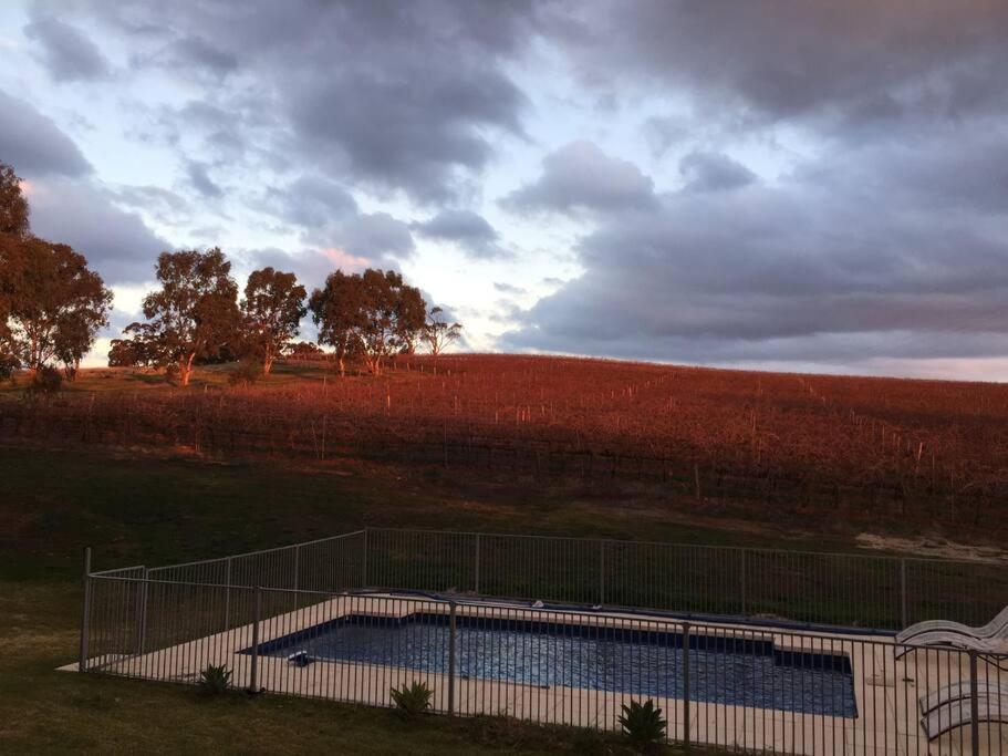 O'Briens of Clare - Stylish Pet Friendly Vineyard Accommodation