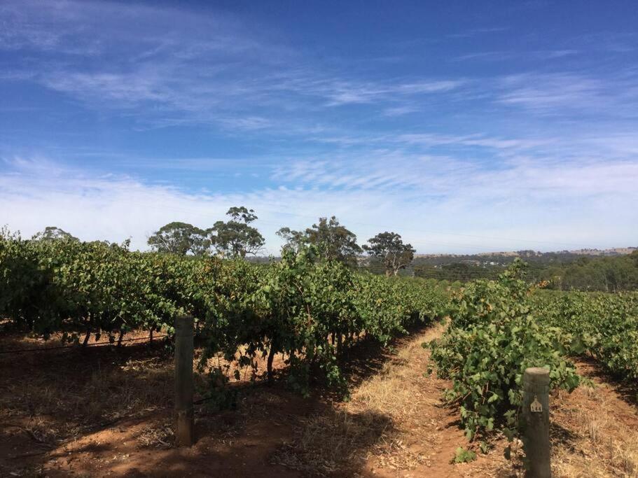 O'Briens of Clare - Stylish Pet Friendly Vineyard Accommodation