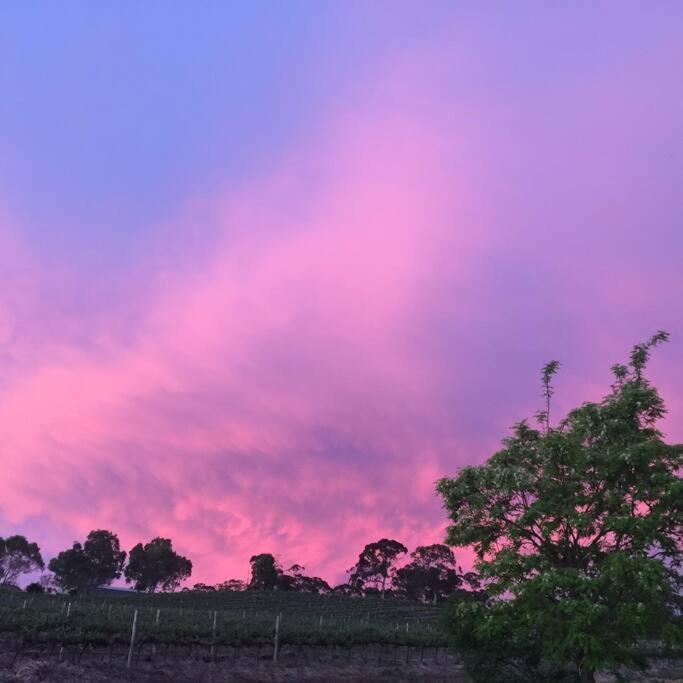 O'Briens of Clare - Stylish Pet Friendly Vineyard Accommodation