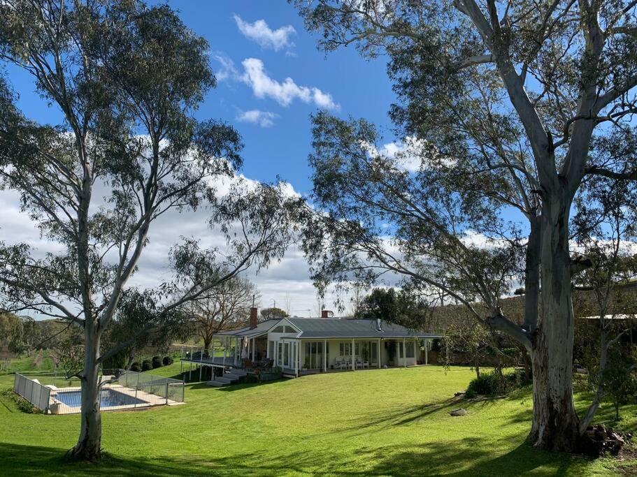 O'Briens of Clare - Stylish Pet Friendly Vineyard Accommodation