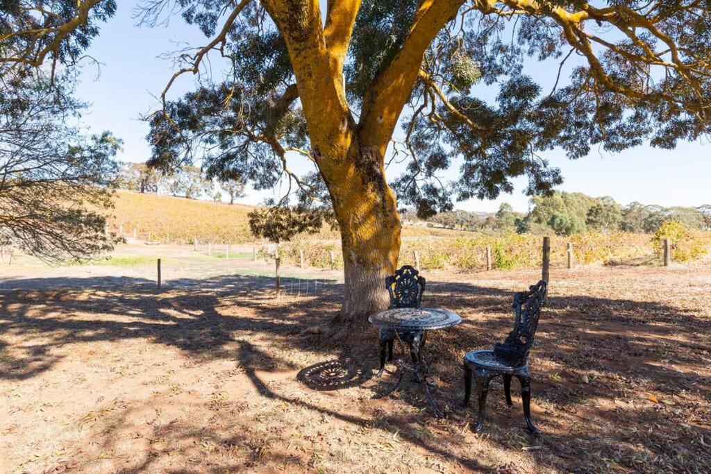 O'Briens of Clare - Stylish Pet Friendly Vineyard Accommodation