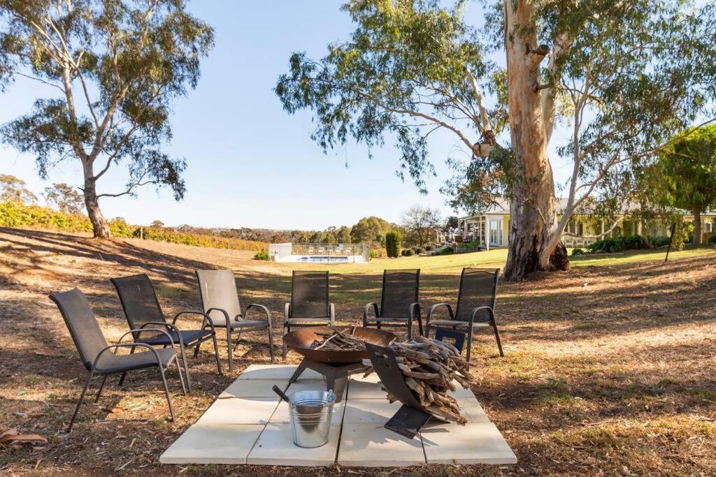 O'Briens of Clare - Stylish Pet Friendly Vineyard Accommodation