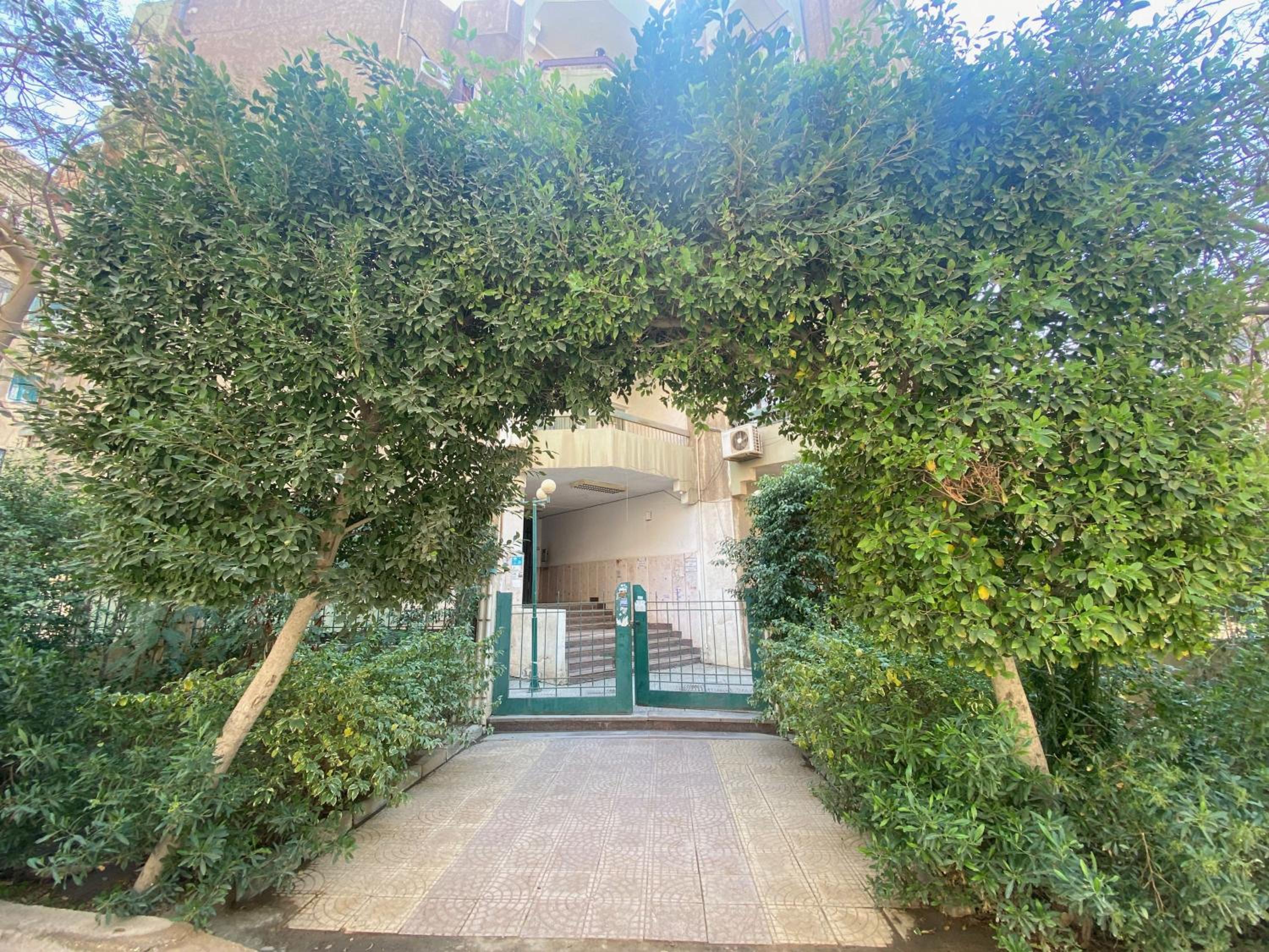 Sunny 2BR Apartment in Maadi