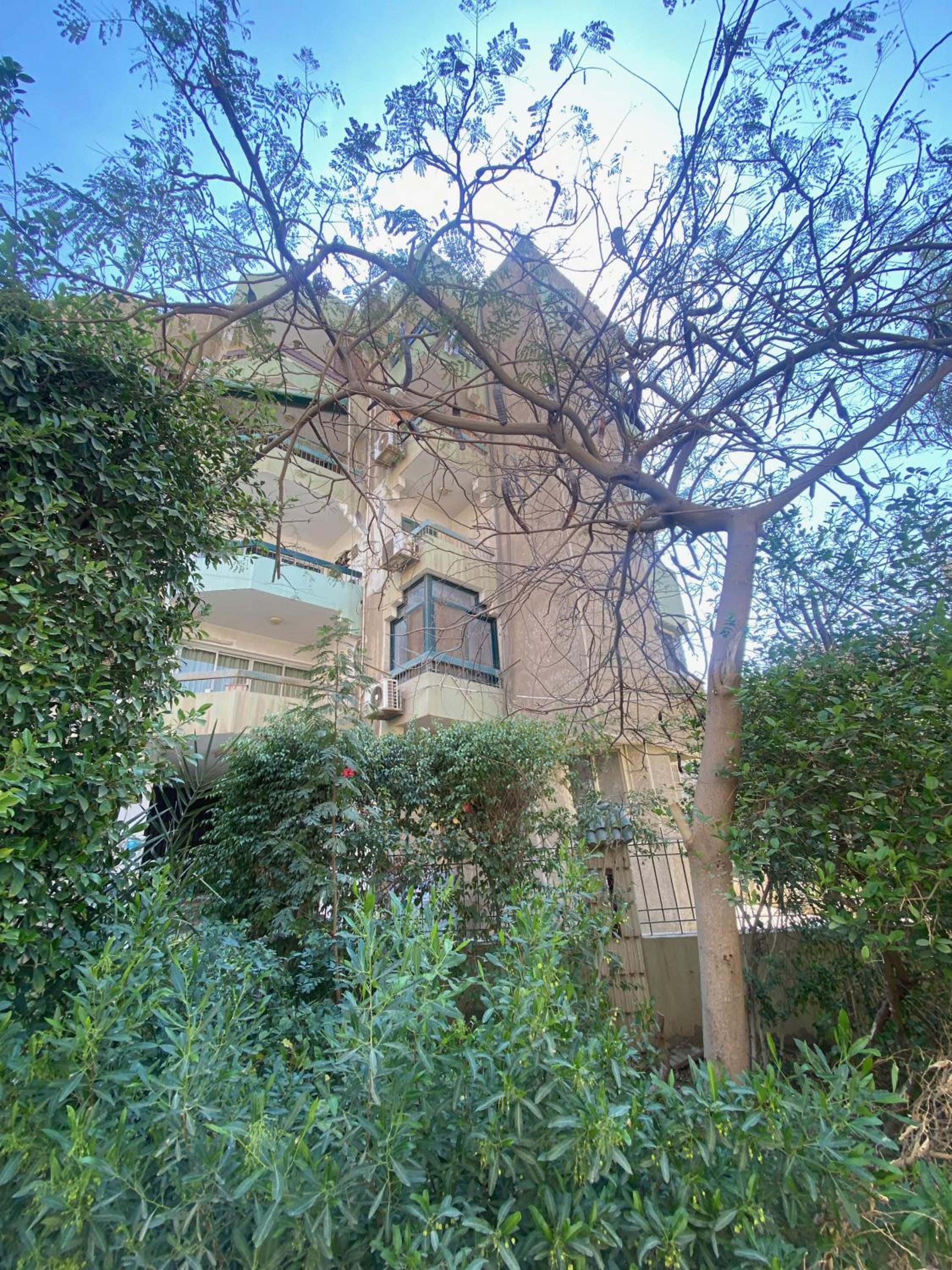 Sunny 2BR Apartment in Maadi