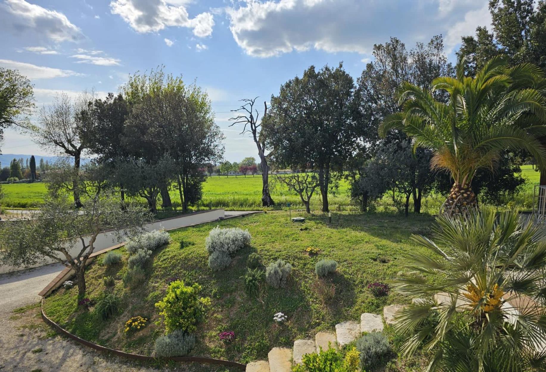 Il magico nido view 2