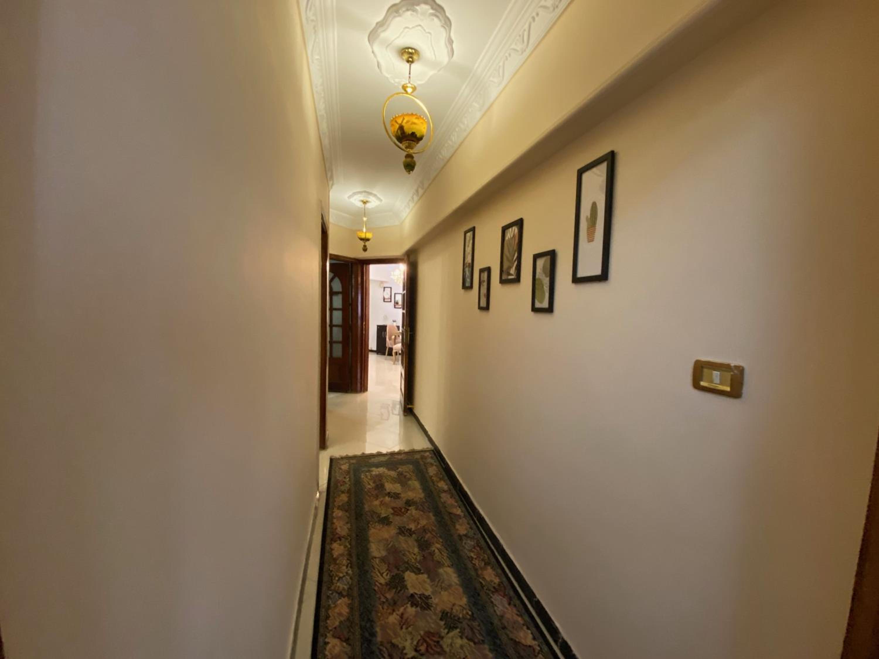 Sunny 2BR Apartment in Maadi