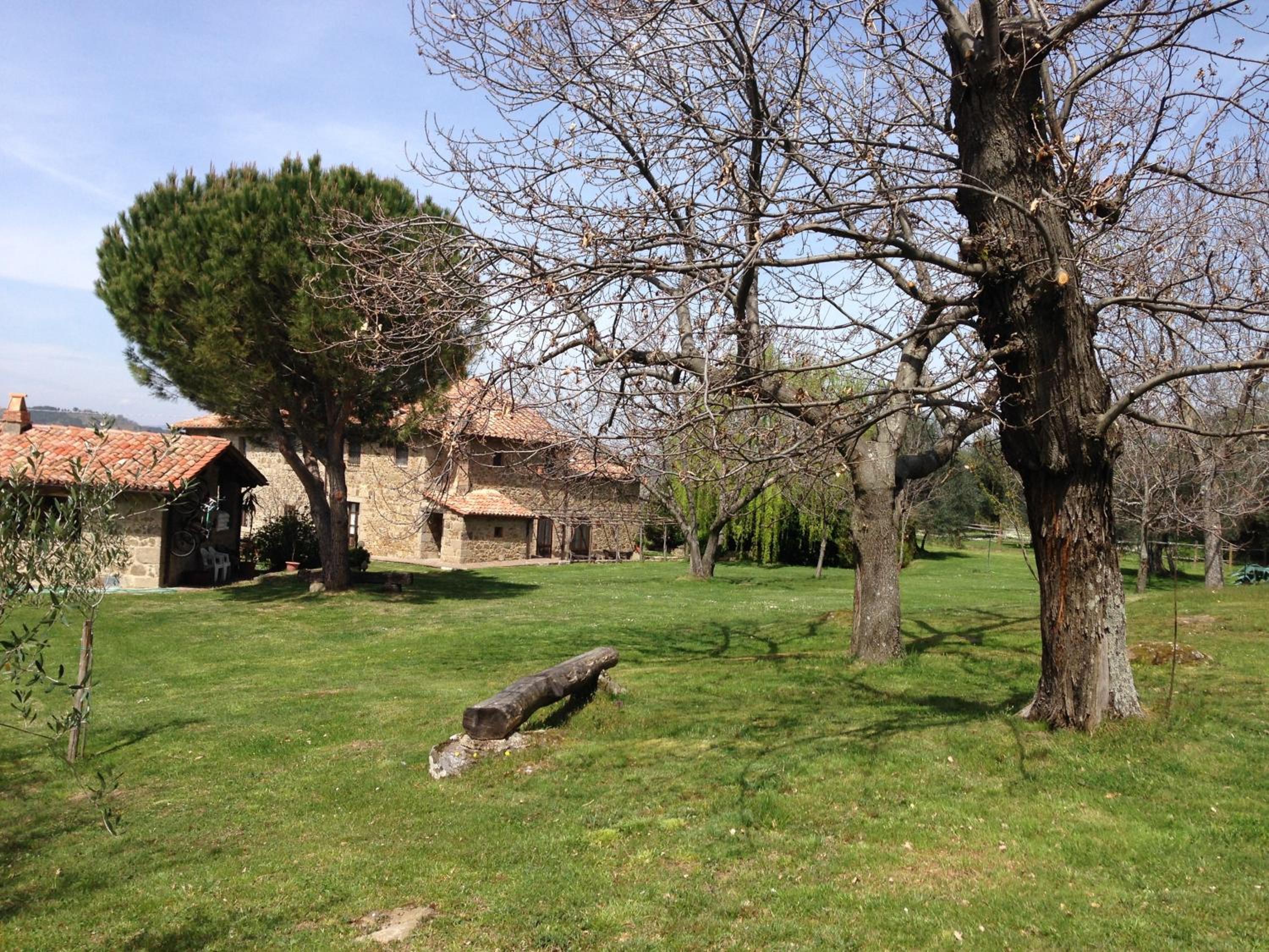 Photo 28