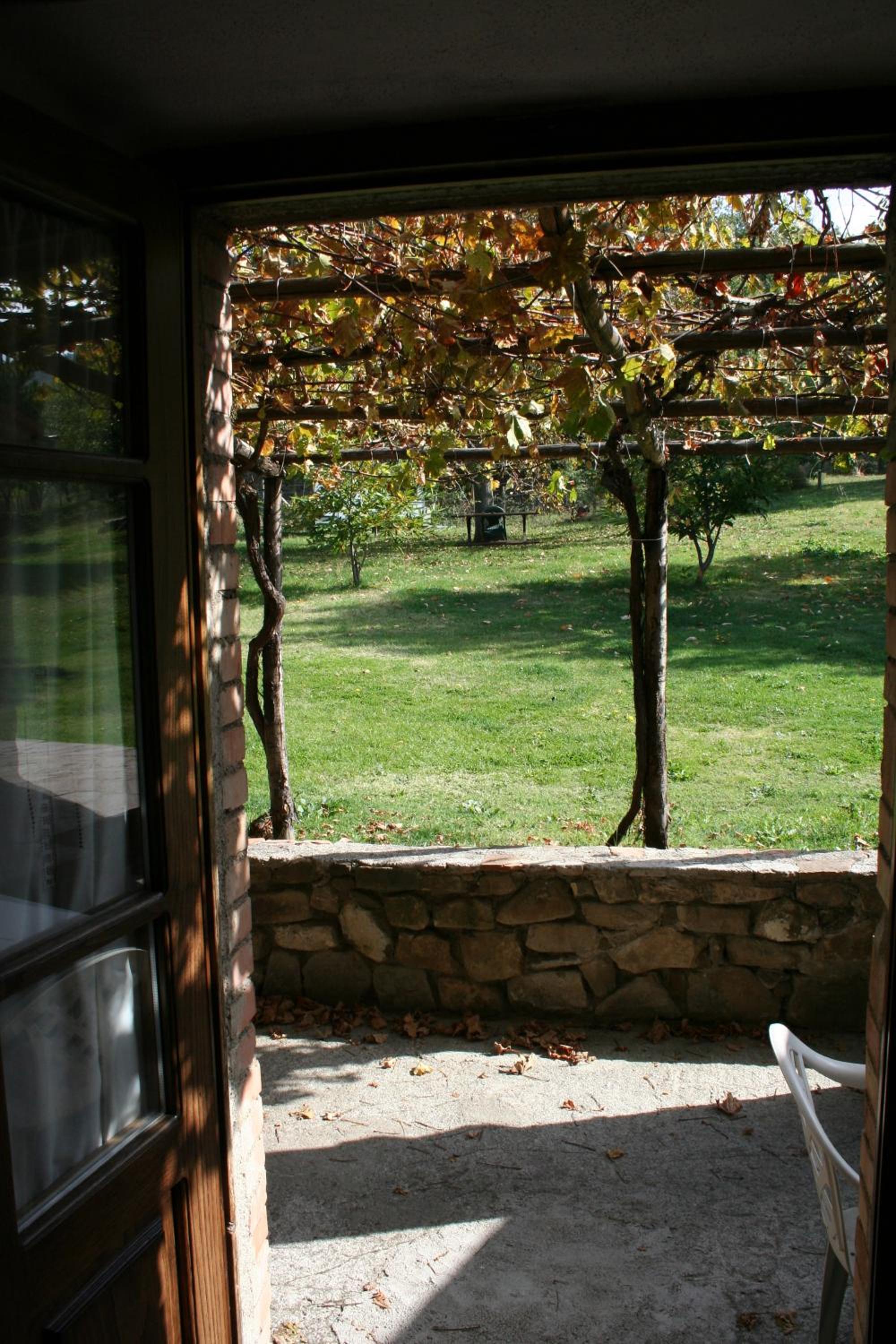 Photo 38