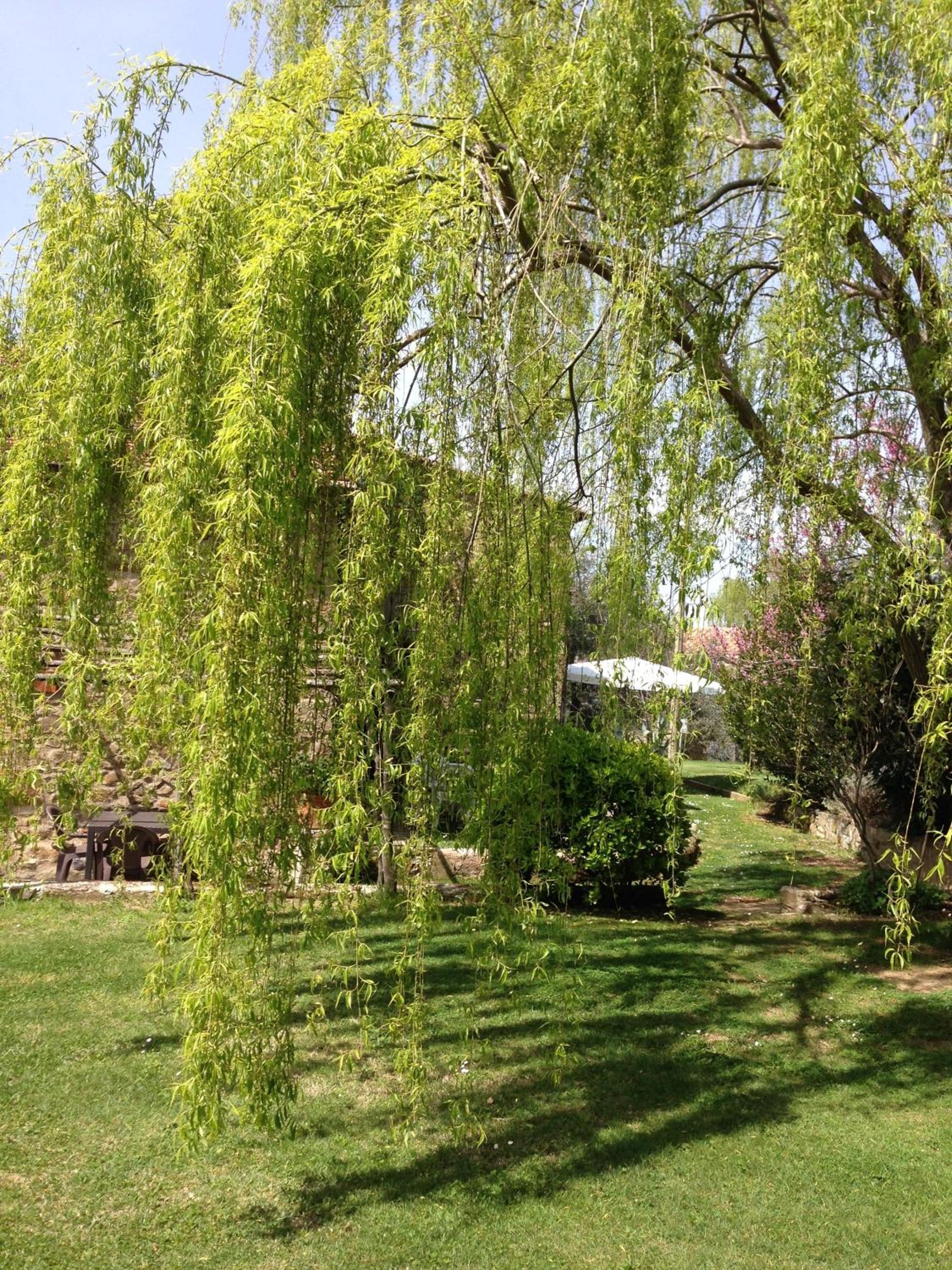 Photo 48
