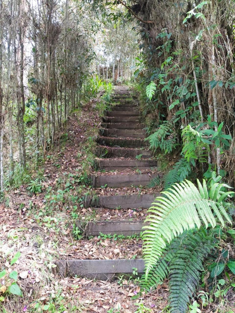 Cabaña Luna Verde