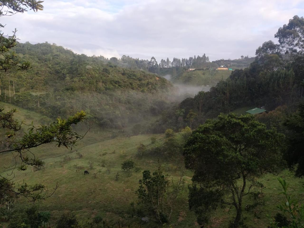 Cabaña Luna Verde