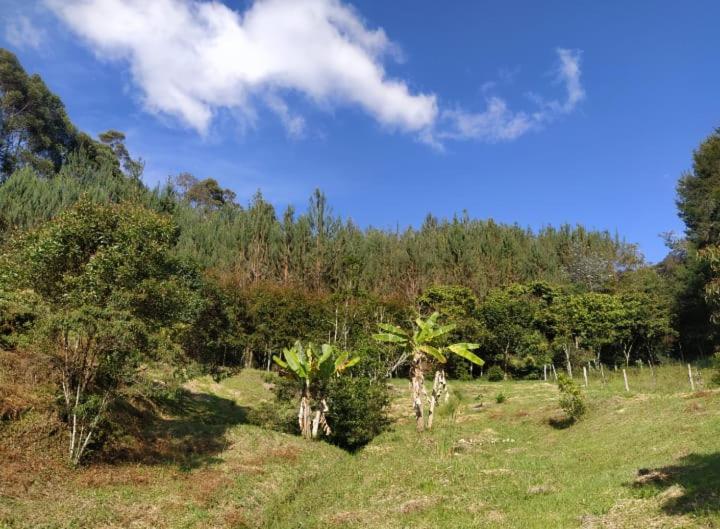 Cabaña Luna Verde