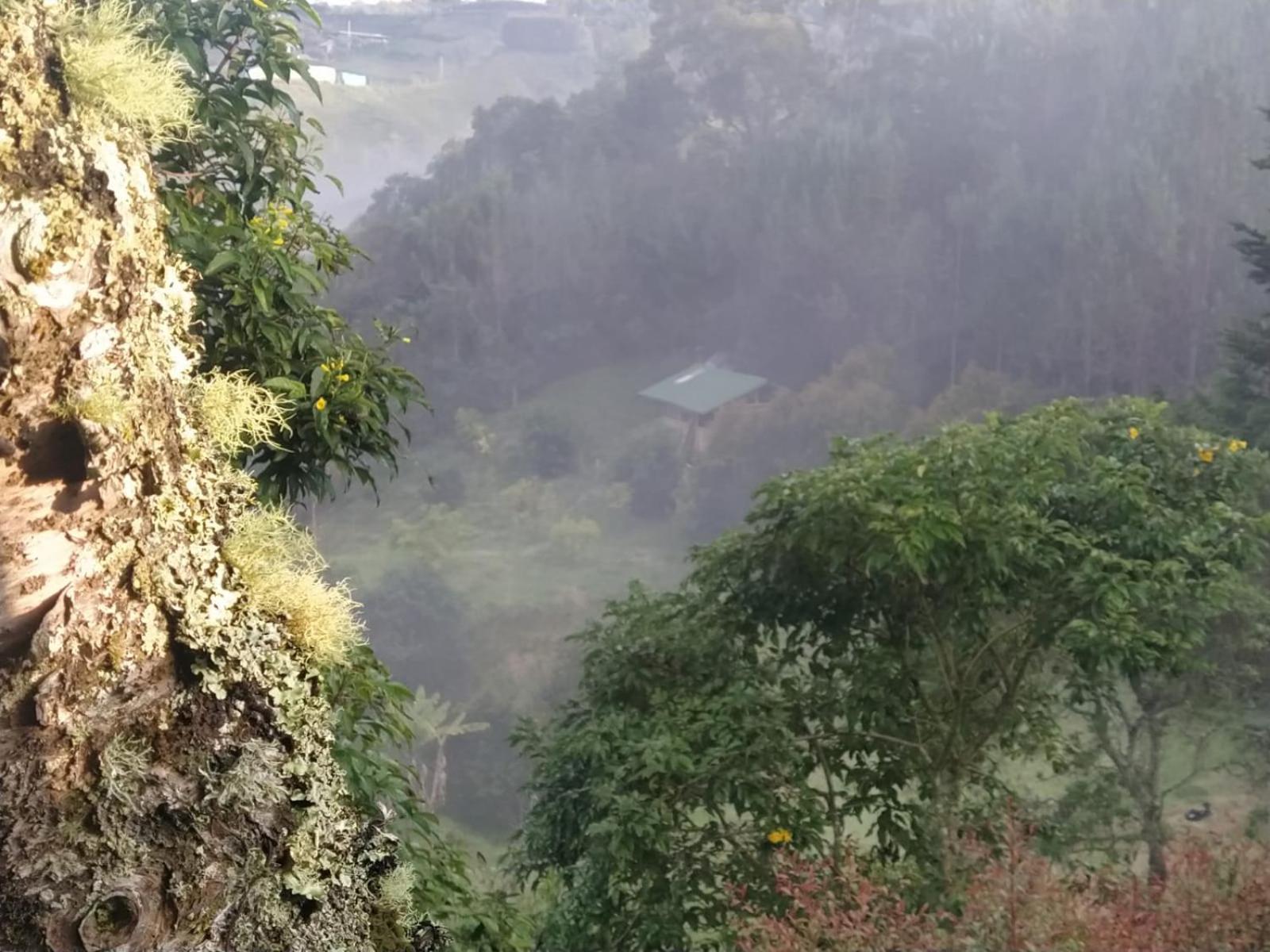 Cabaña Luna Verde
