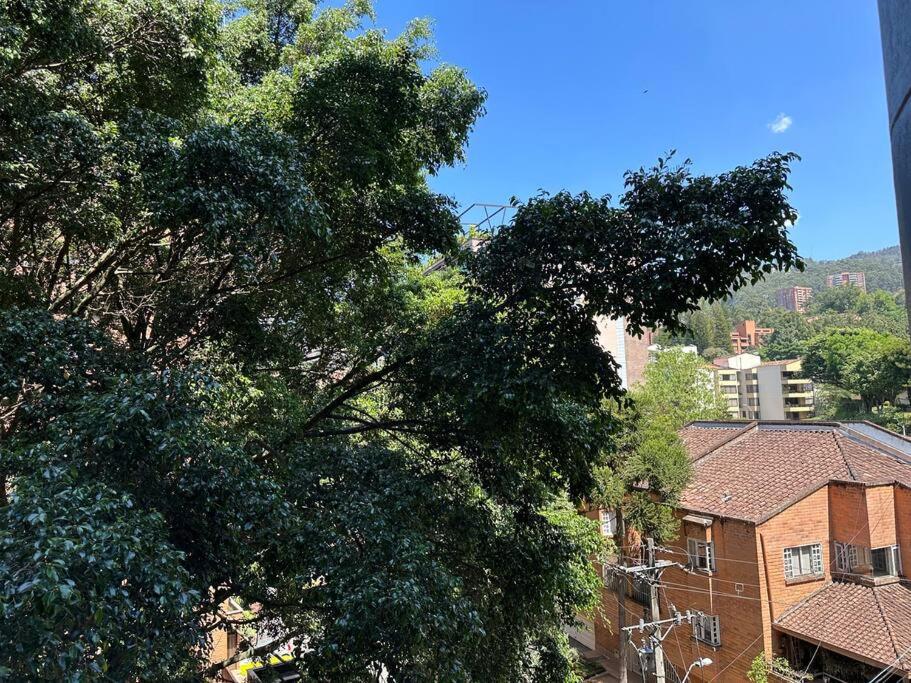 Exclusivo Loft en el poblado-rodeado de naturaleza 501