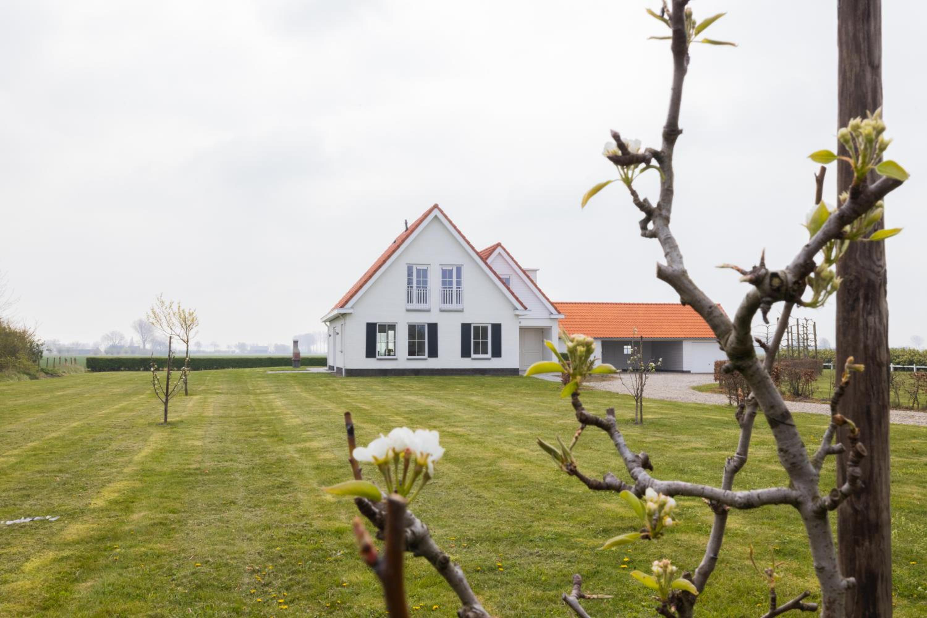 Belvedere Groede