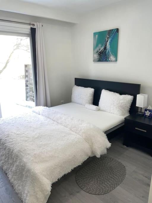 Harmony Home Near University of Waterloo