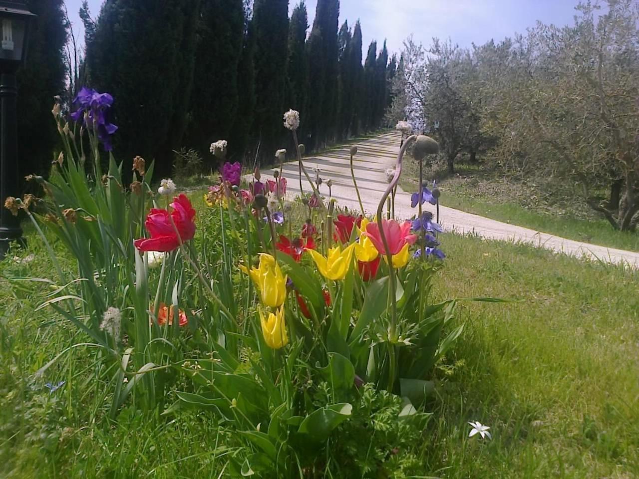 Photo 32
