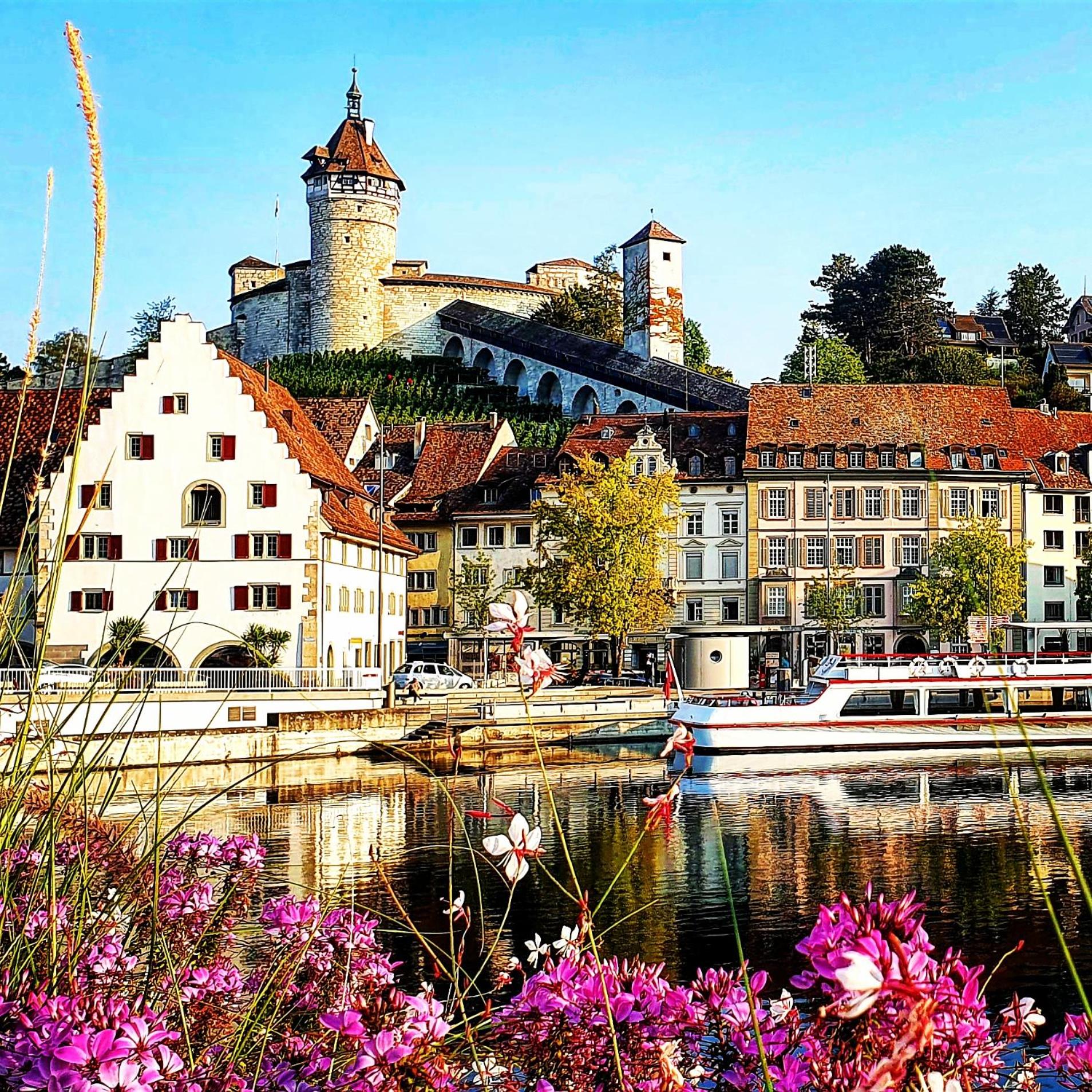 Apartment Südwind - Beautiful premium apartment with 2 bedrooms near Rhine Falls & Zurich Airport in Klettgau